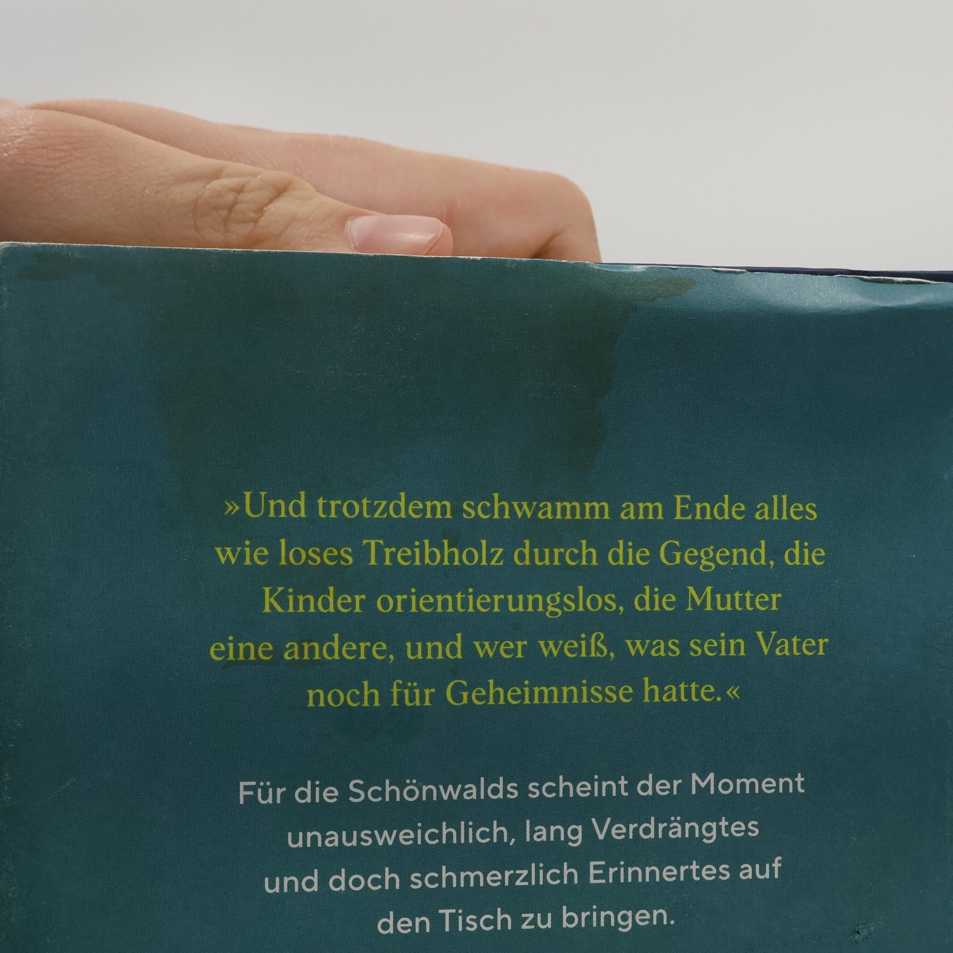 Philipp Oehmke Schönwald