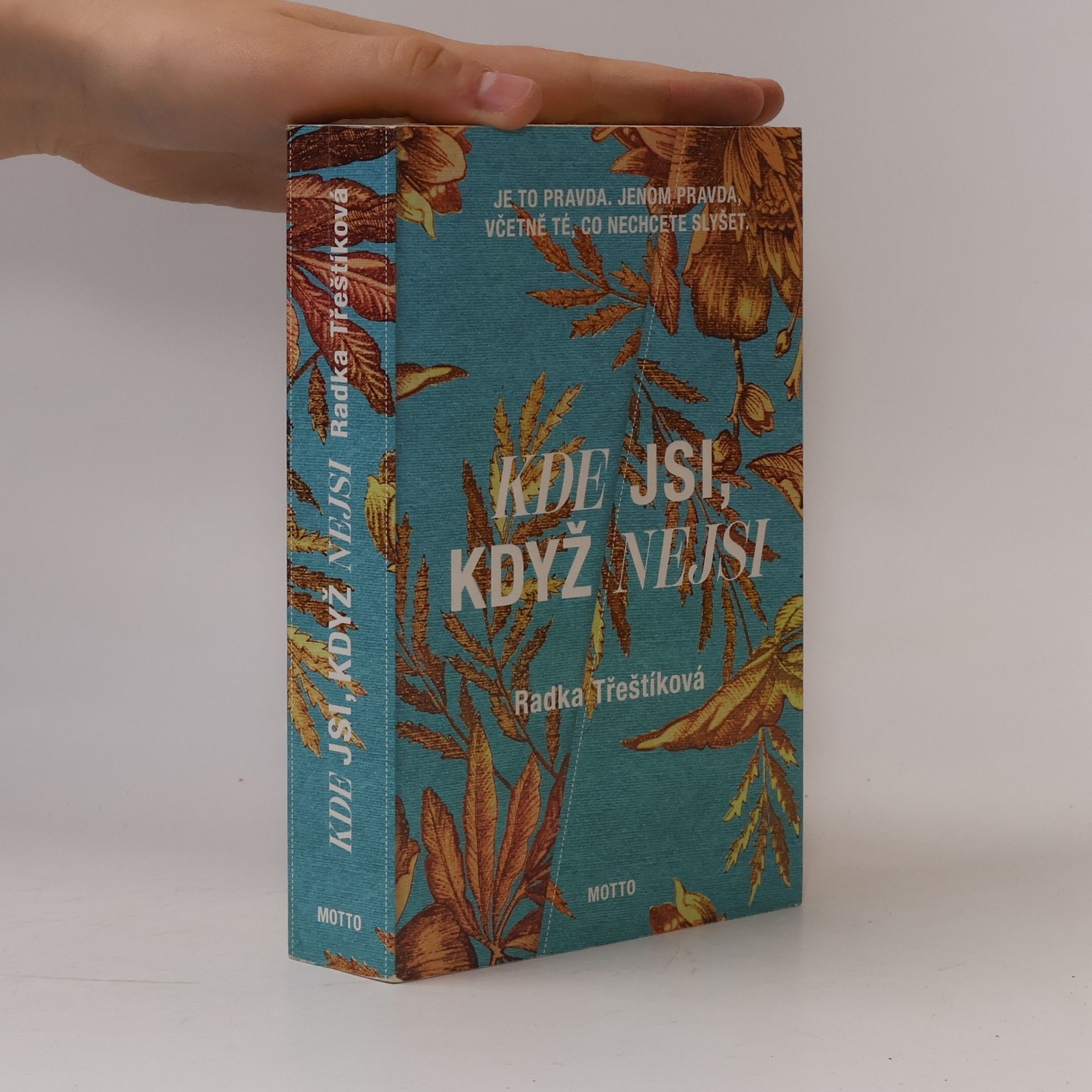 Radka Třeštíková Kde jsi, když nejsi