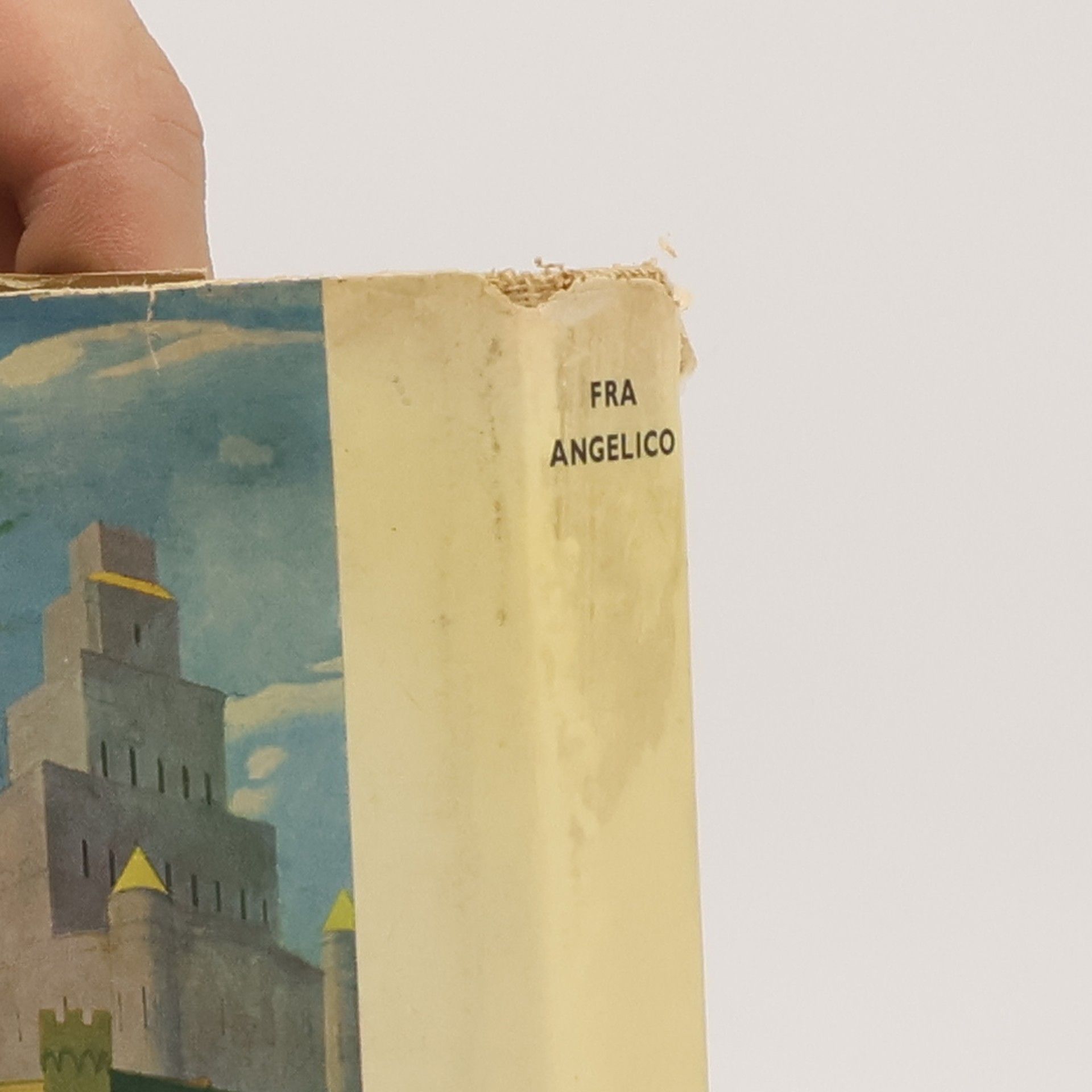 Auteurscollectief Fra Angelico and his Times