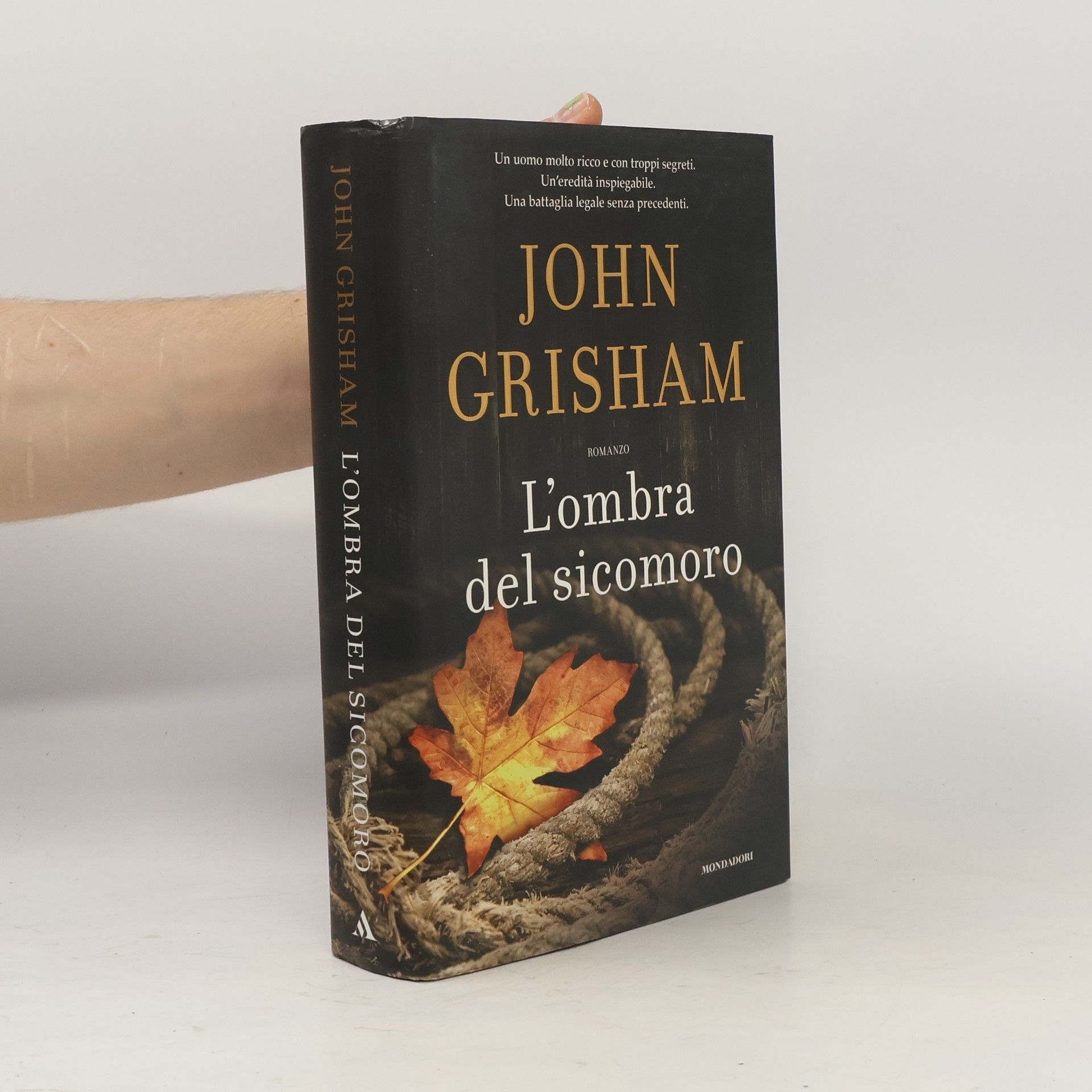John Grisham L'ombra del sicomoro