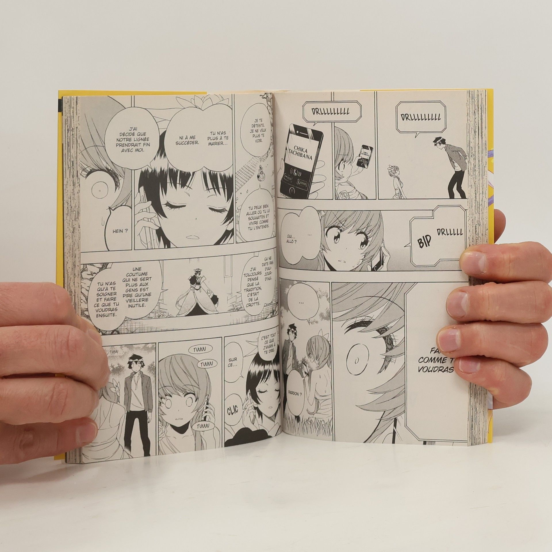 Naoshi Komi Nisekoi