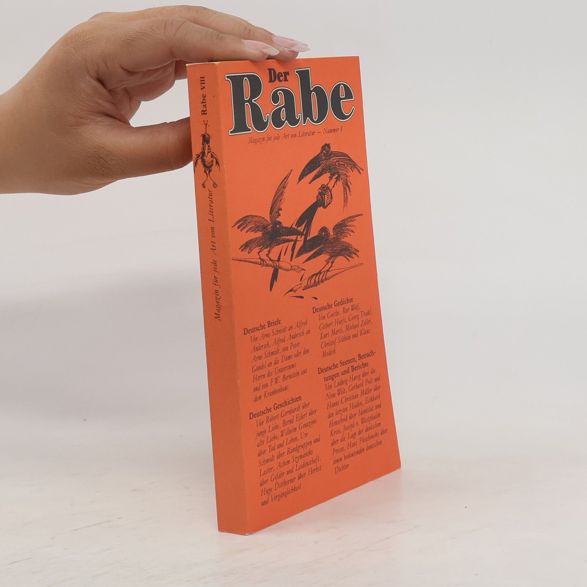 Autorenkollektiv Der Rabe VIII.