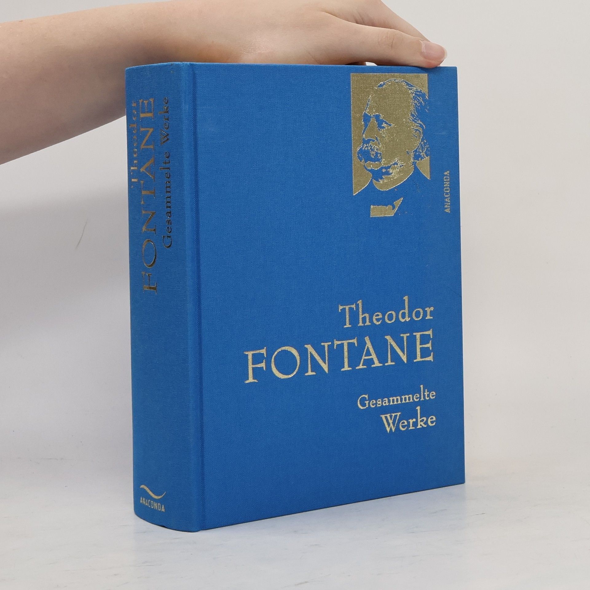 Theodor Fontane Gesammelte Werke