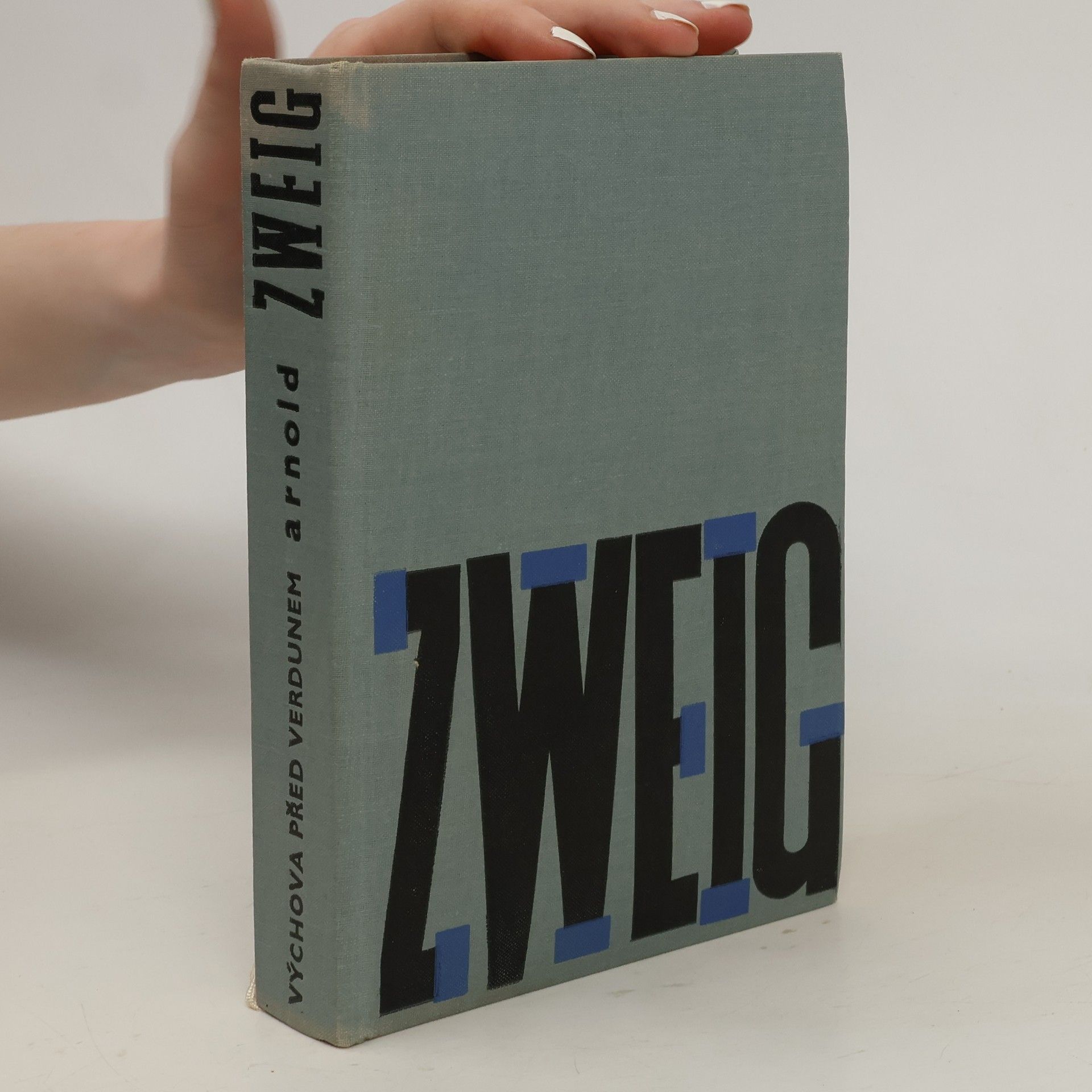 Arnold Zweig Výchova před Verdunem