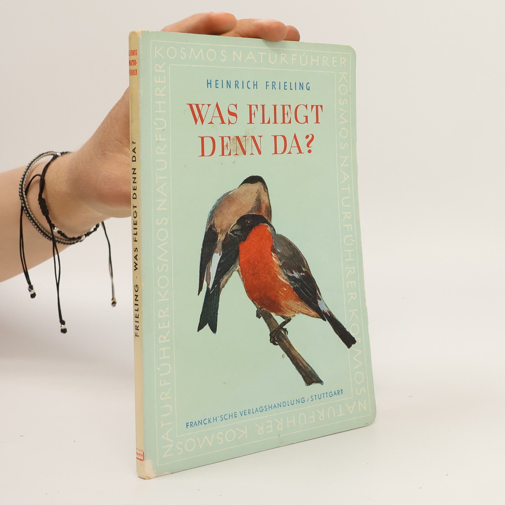 Heinrich Frieling Was fliegt denn da?