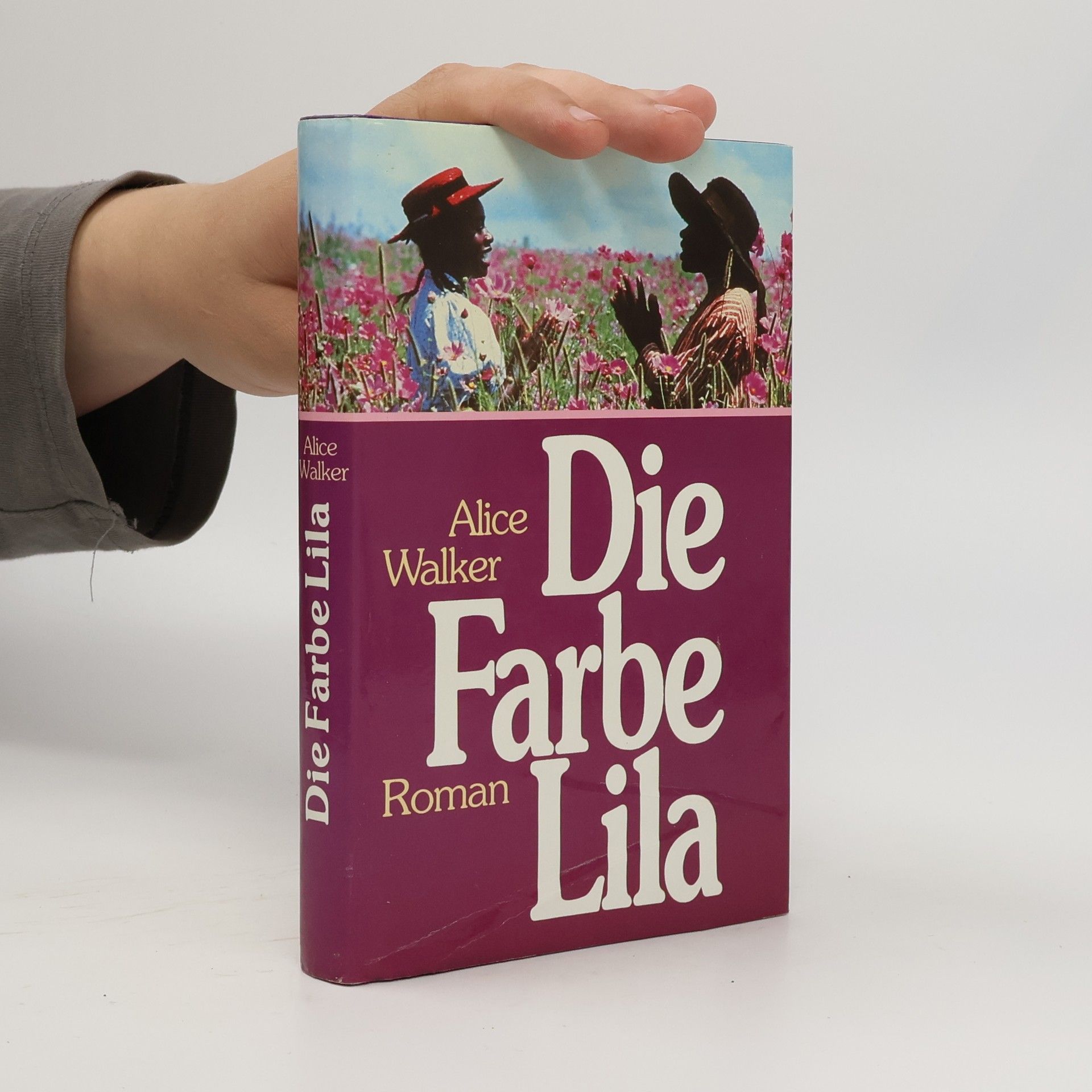 Alice Walker Die Farbe Lila