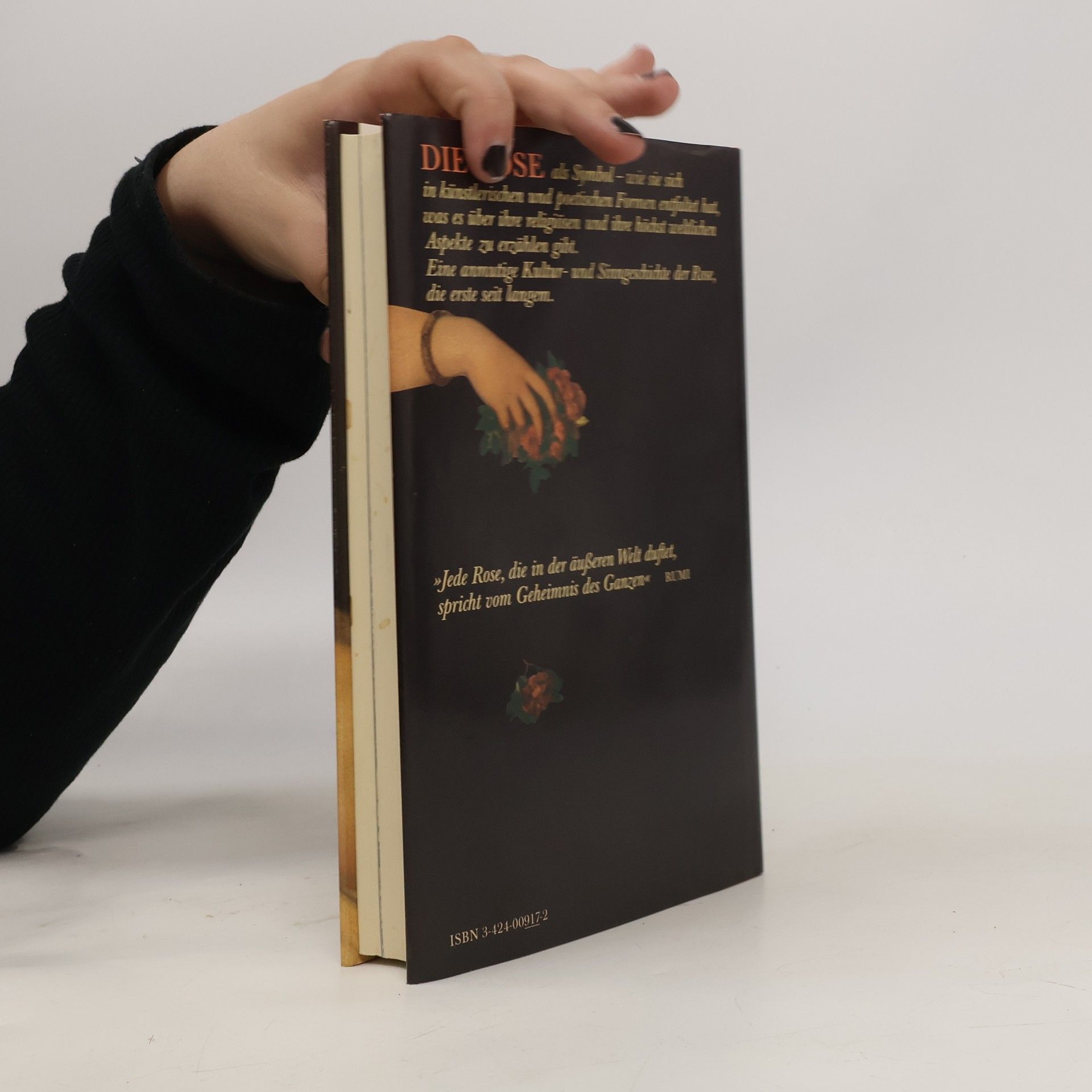 Karl-Heinz Mohr Die Rose