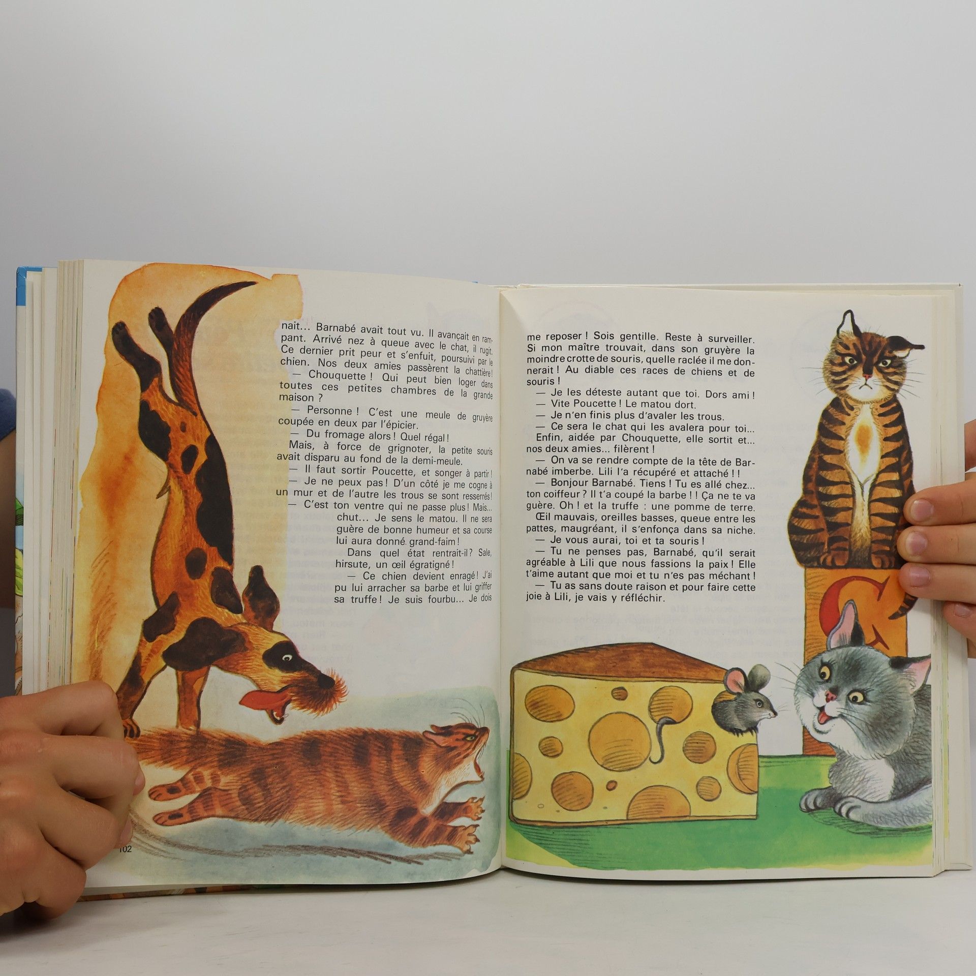 Autorenkollektiv Les contes du Perroquet
