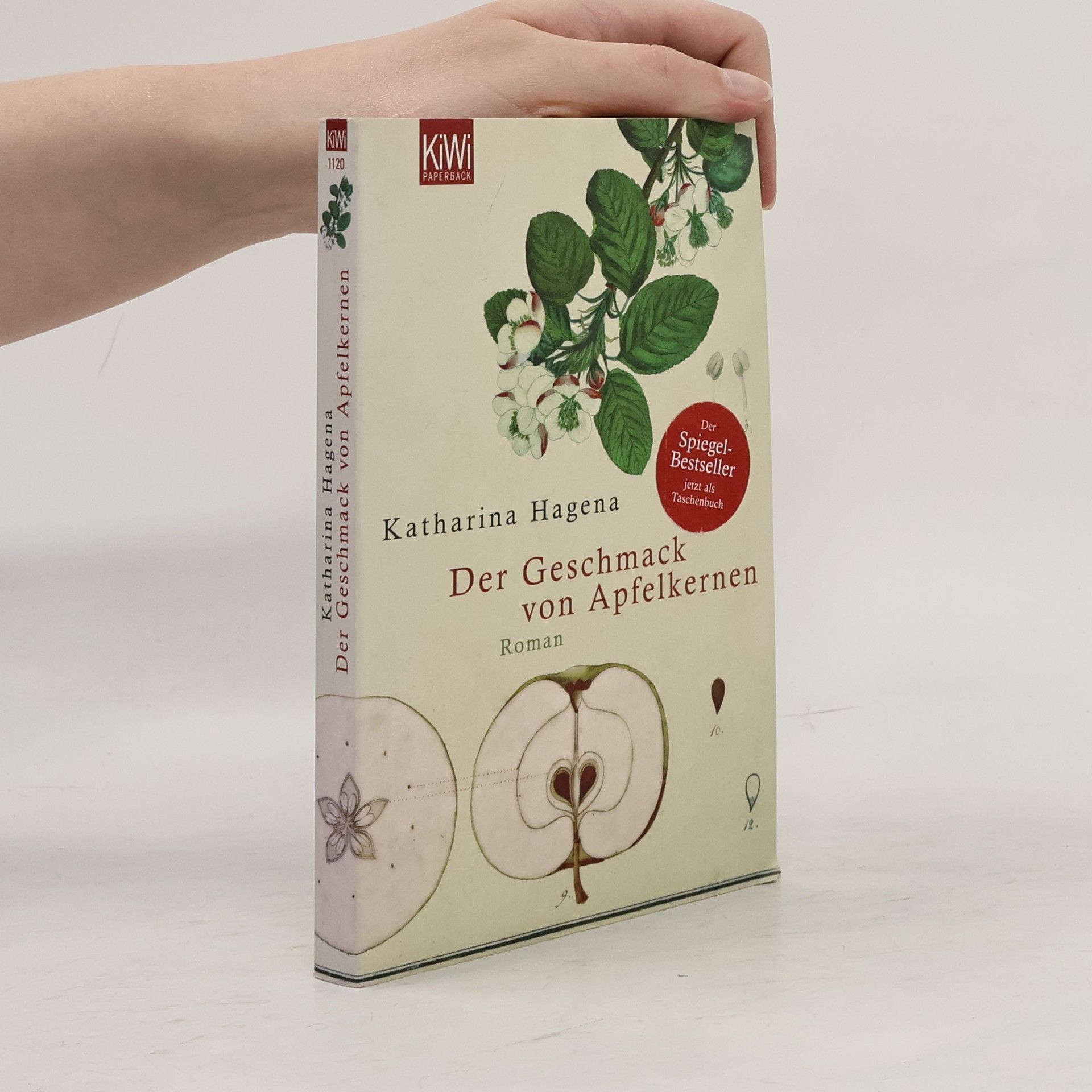 Katharina Hagena Der Geschmack von Apfelkernen