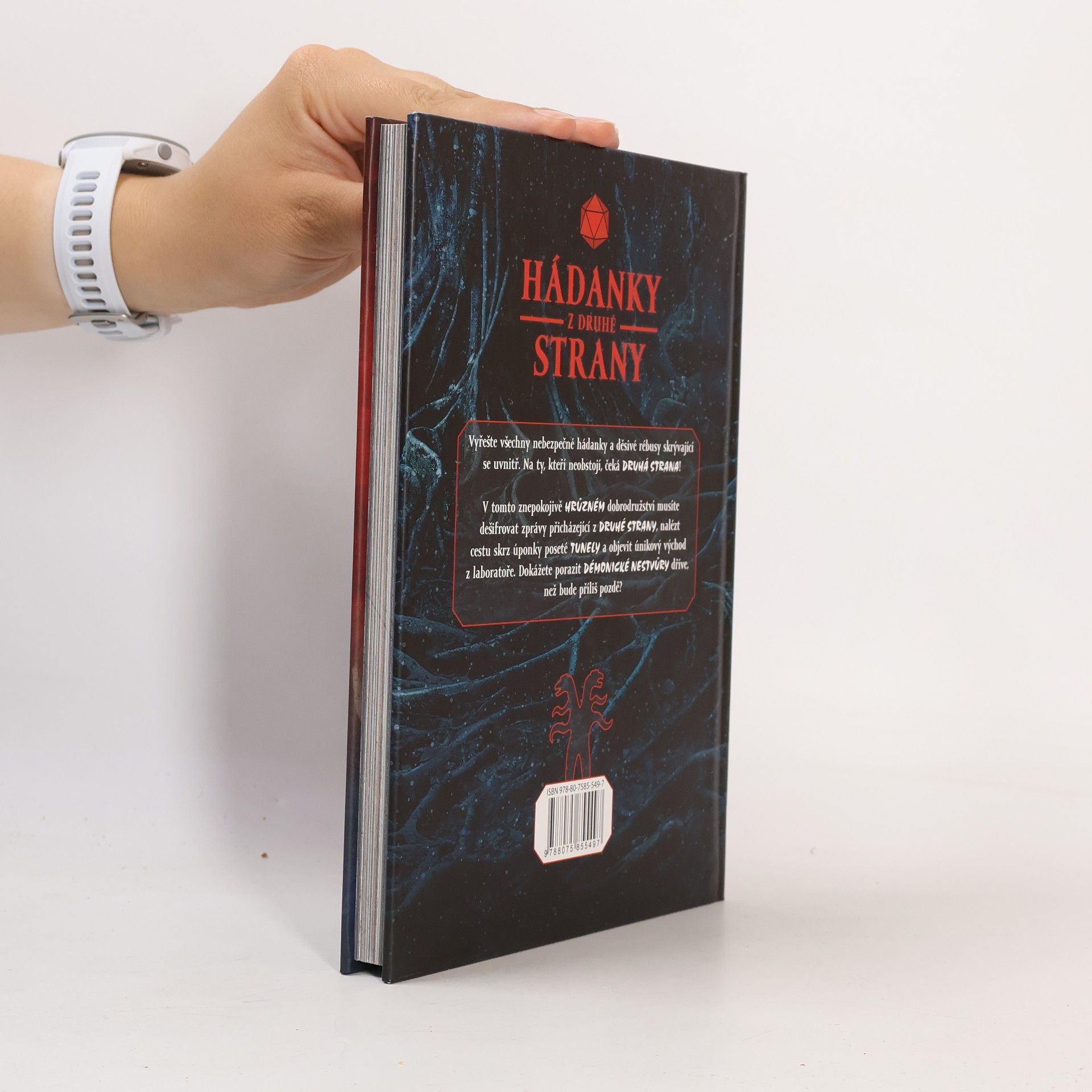Jason Ward Hádanky z druhé strany. Děsivě návykové dobrodružství plné hlavolamů inspirované světem Stranger things