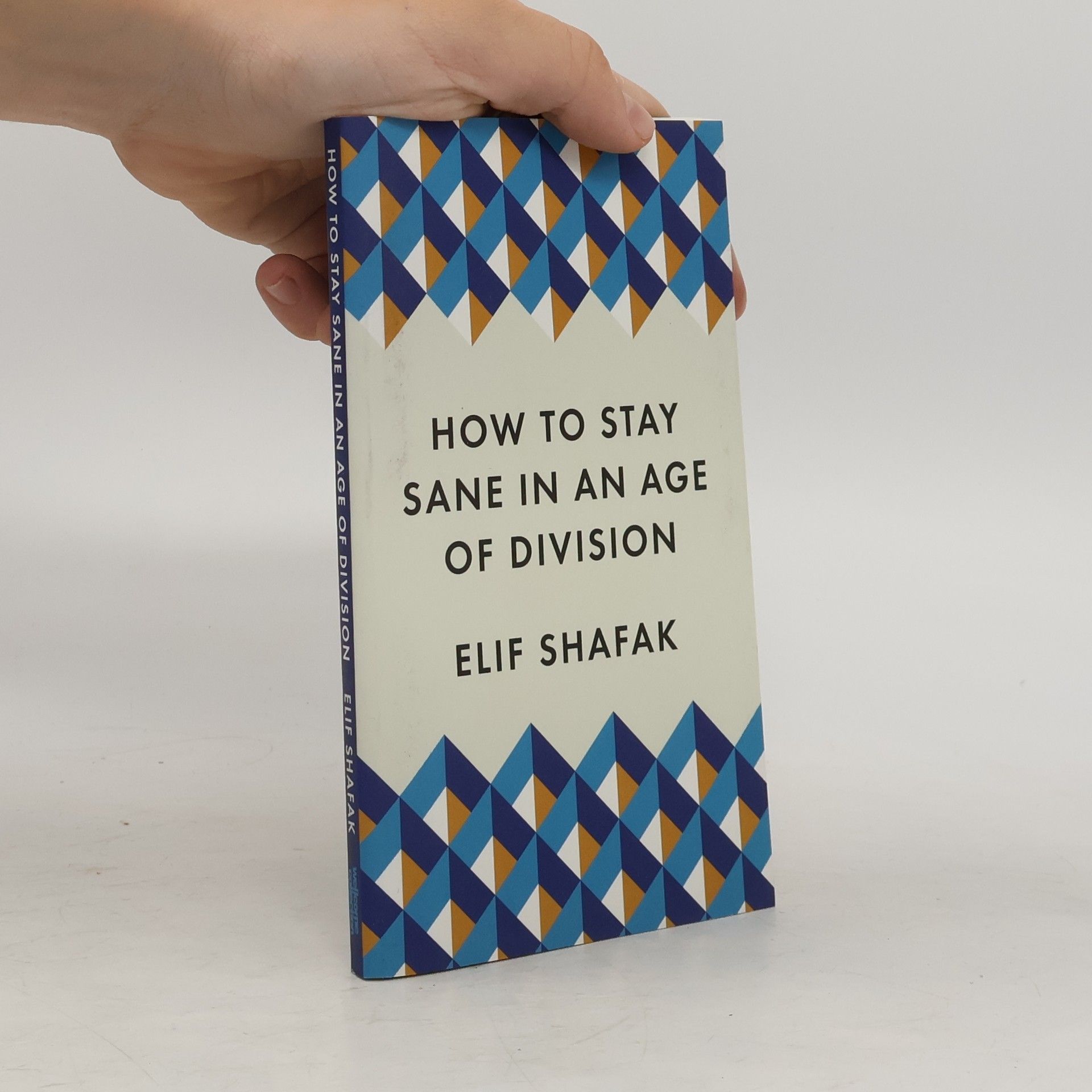 Elif Shafak How to stay sane in an age of division