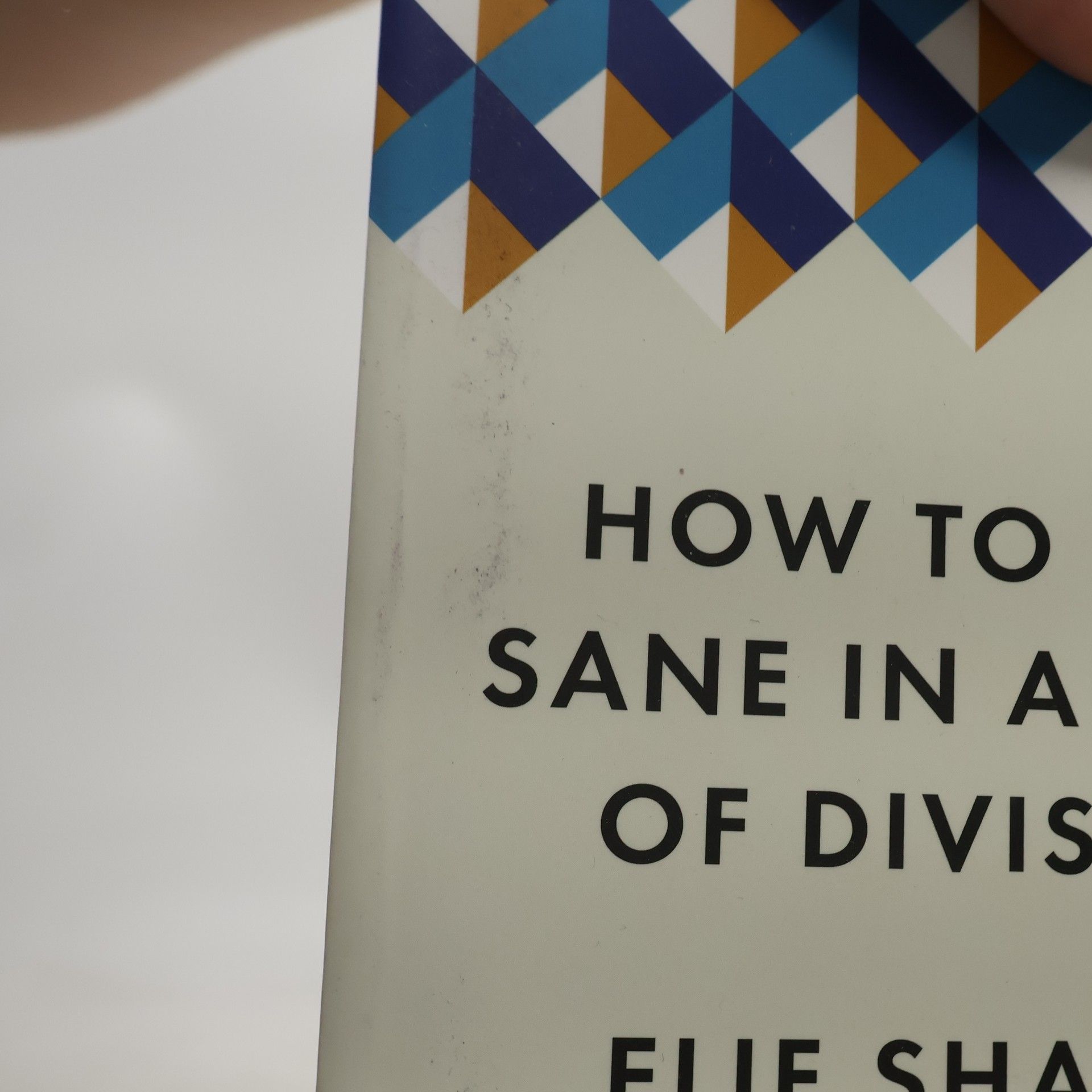 Elif Shafak How to stay sane in an age of division