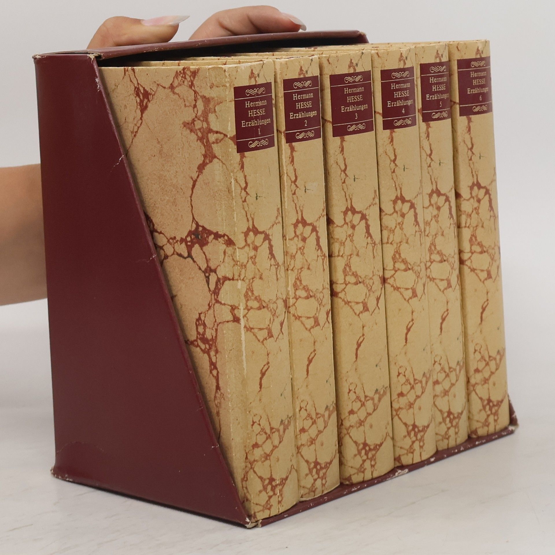 Hermann Hesse Erzählungen 1-6