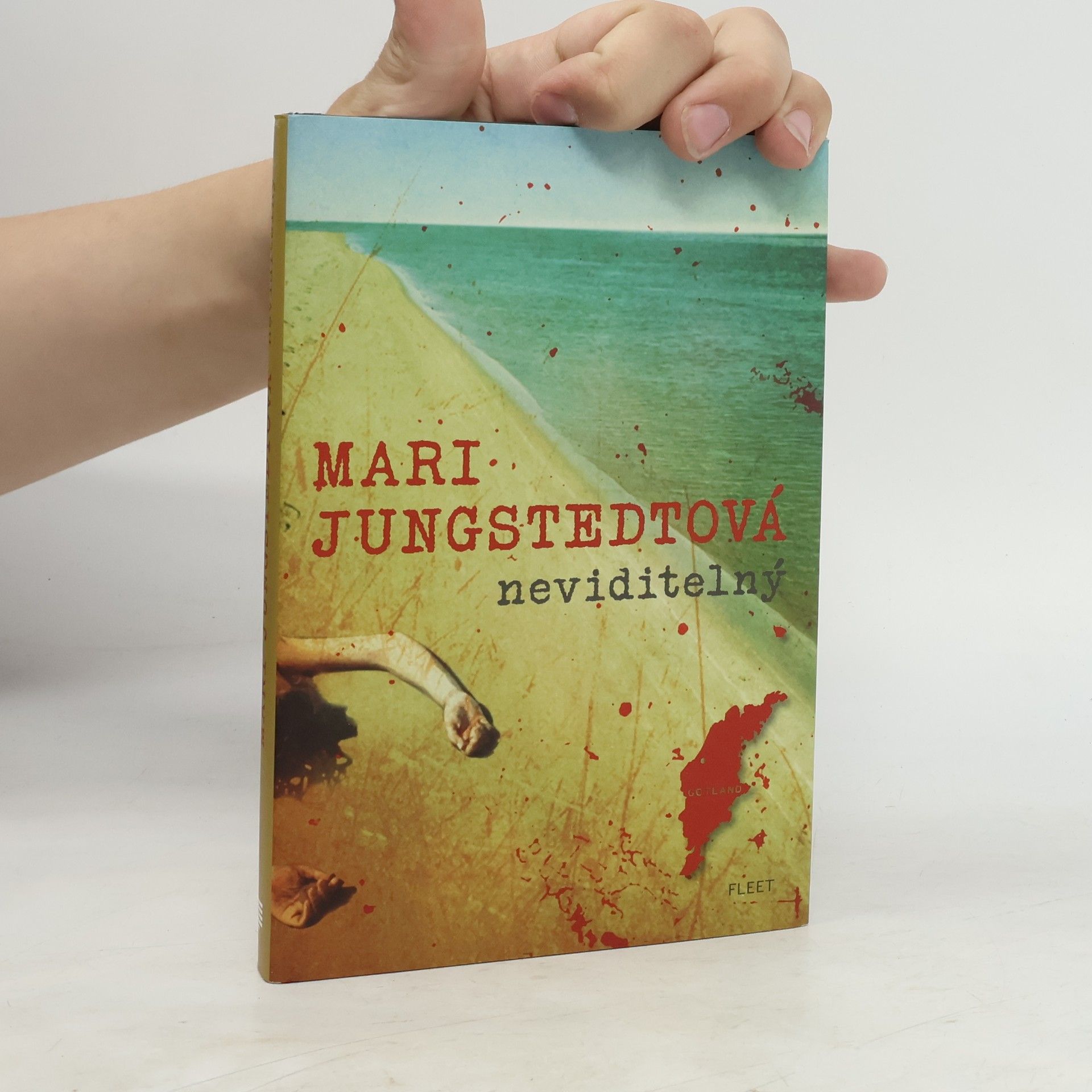 Mari Jungstedt Neviditelný