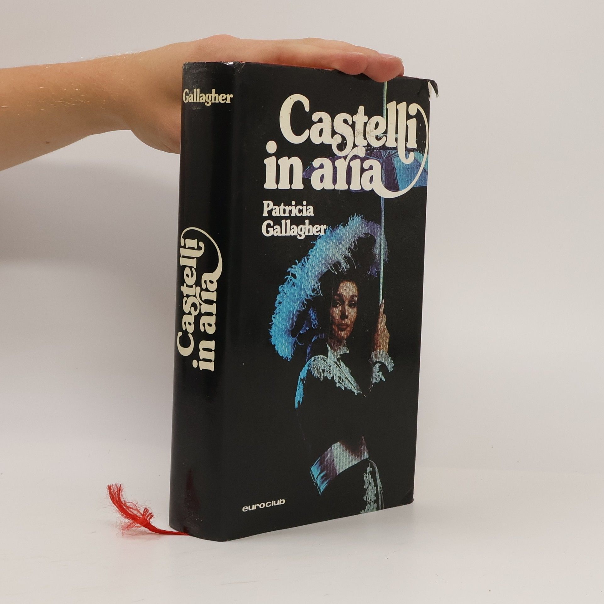 Patricia Gallagher Castelli ina aria