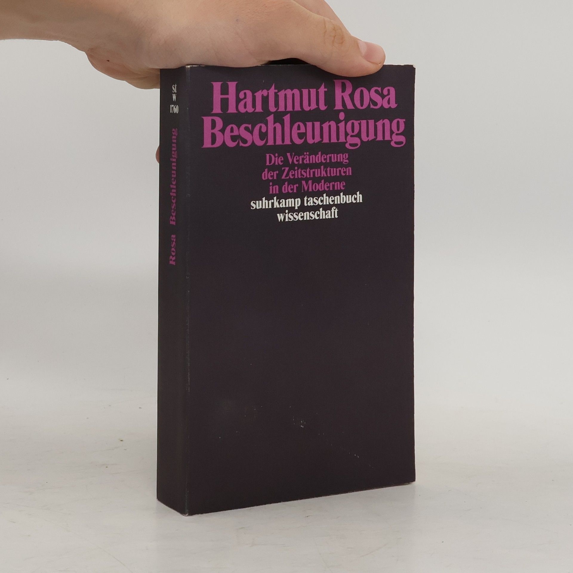 Hartmut Rosa Beschleunigung