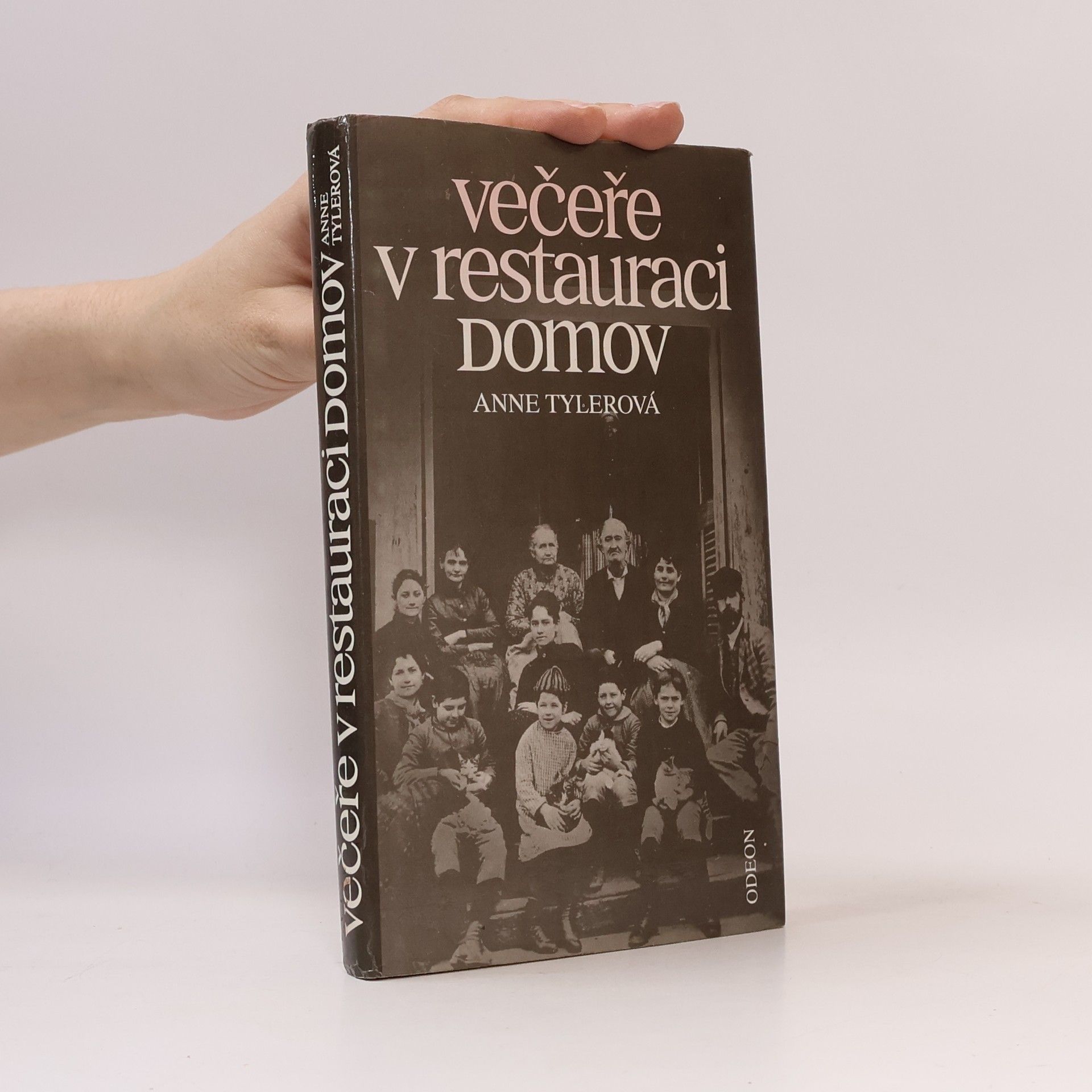 Anne Tyler Večeře v restauraci Domov
