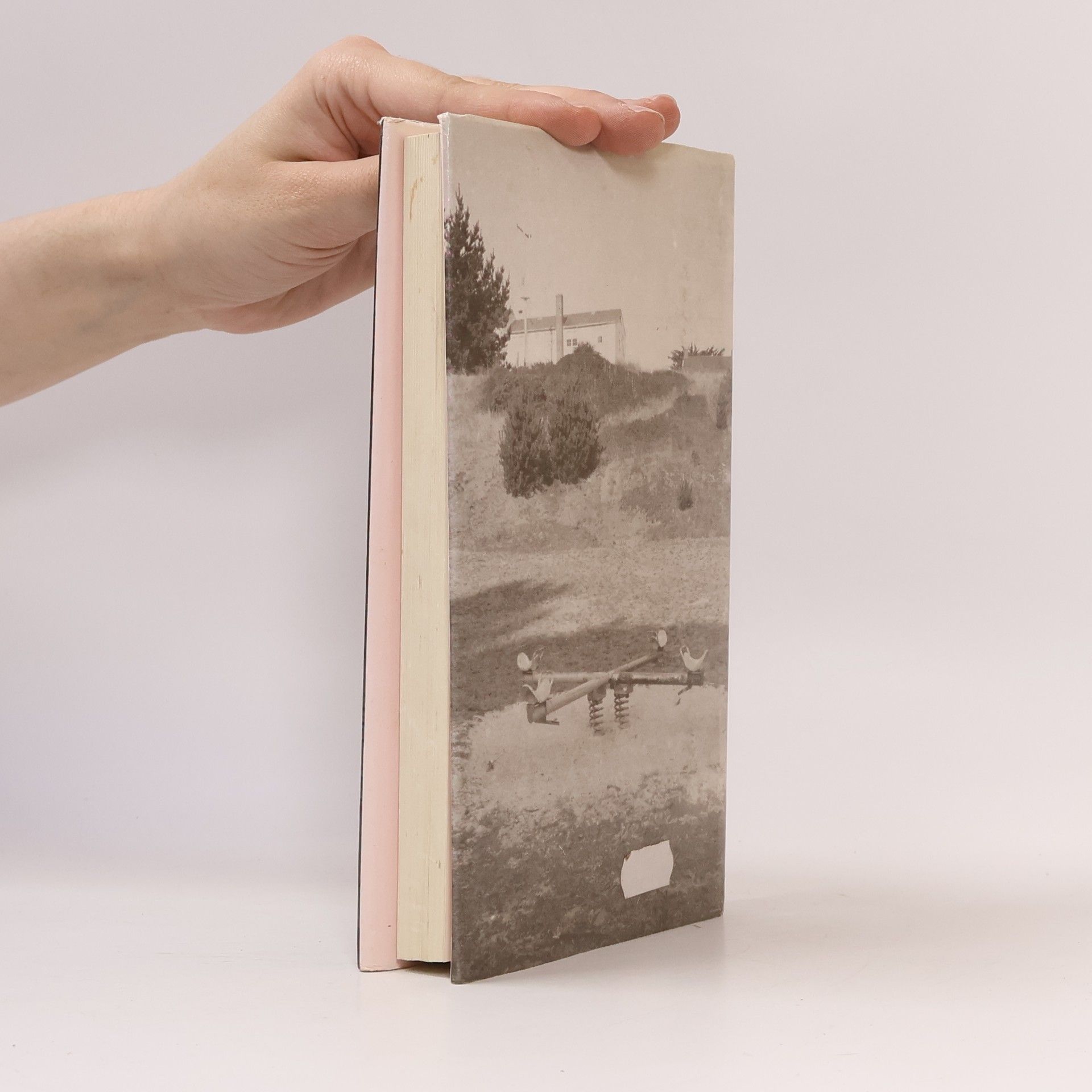 Anne Tyler Večeře v restauraci Domov