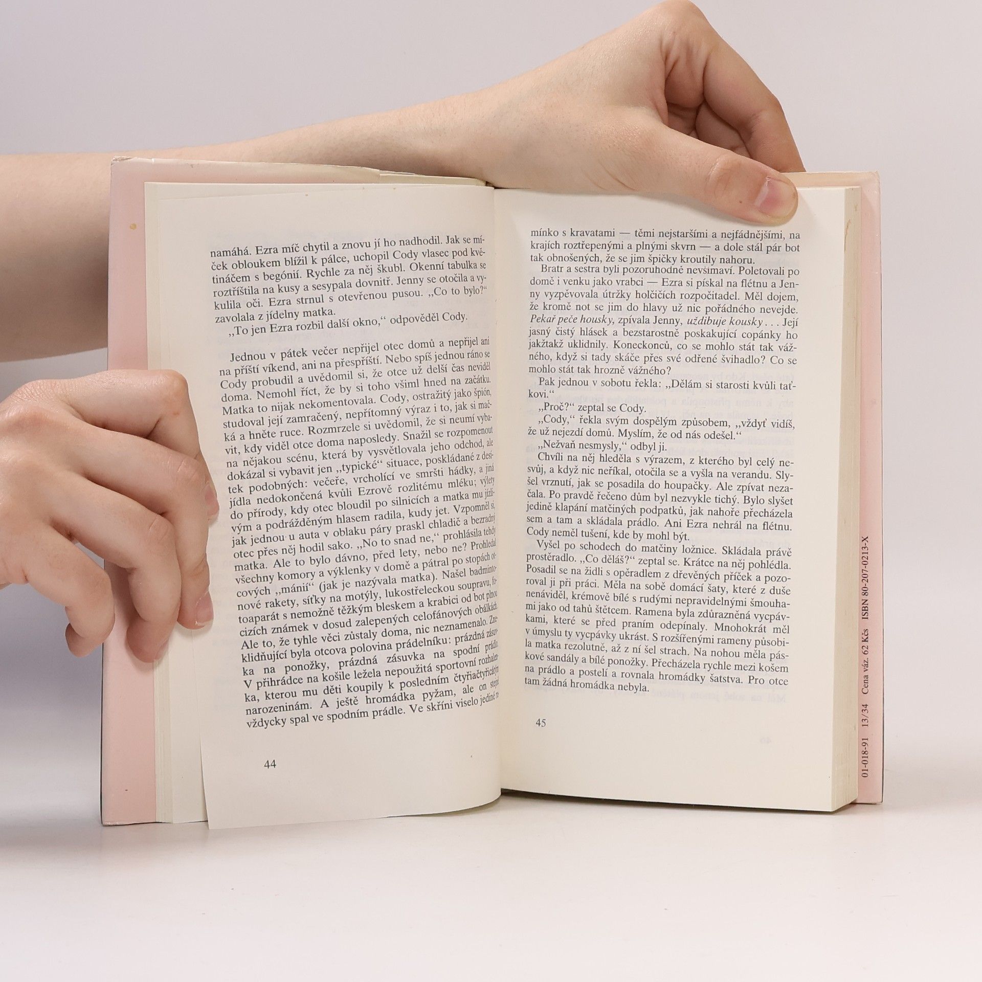 Anne Tyler Večeře v restauraci Domov