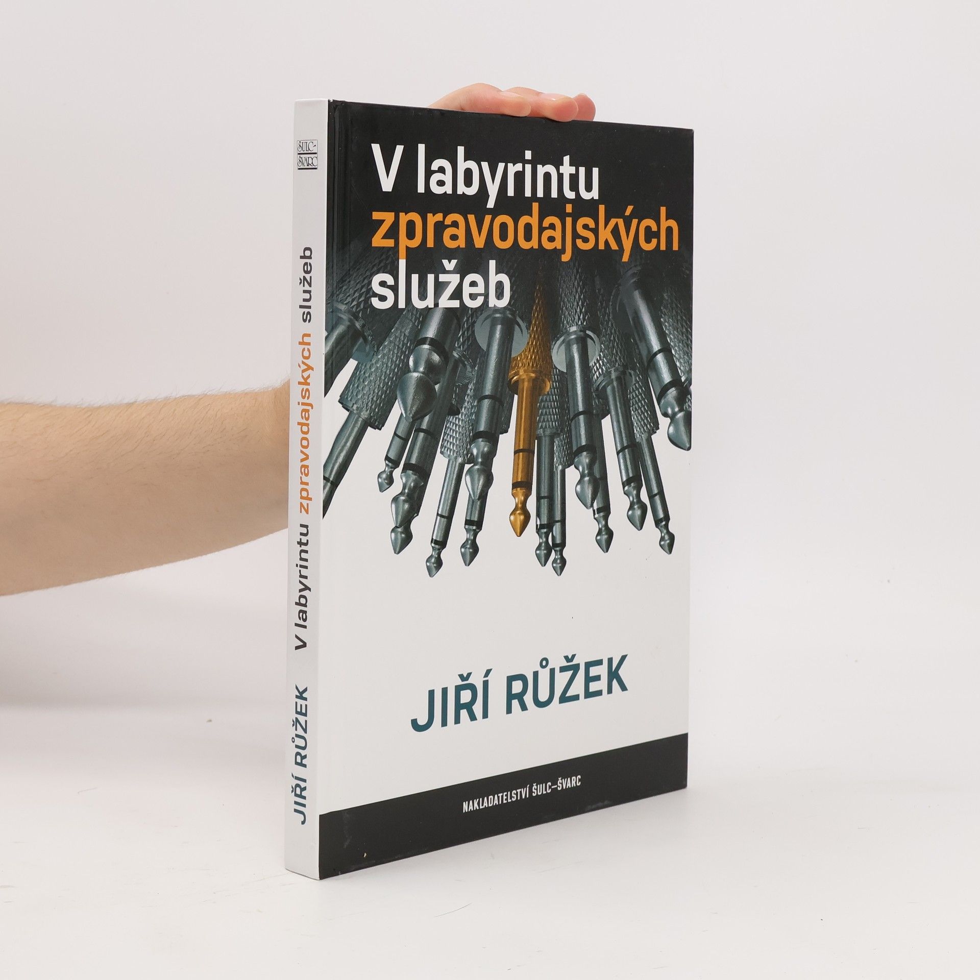 Jiří Růžek V labyrintu zpravodajských služeb