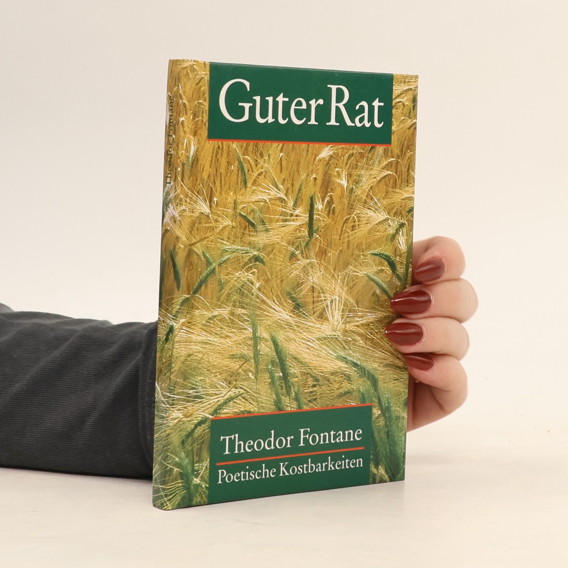 Theodor Fontane Guter Rat