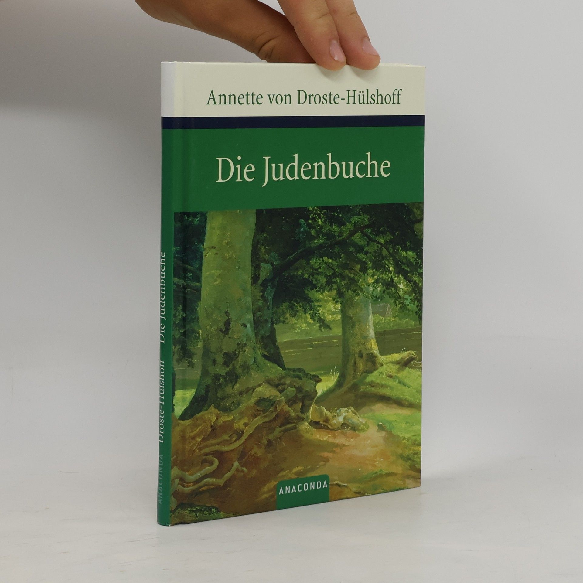 Annette von Droste-Hülshoff Die Judenbuche