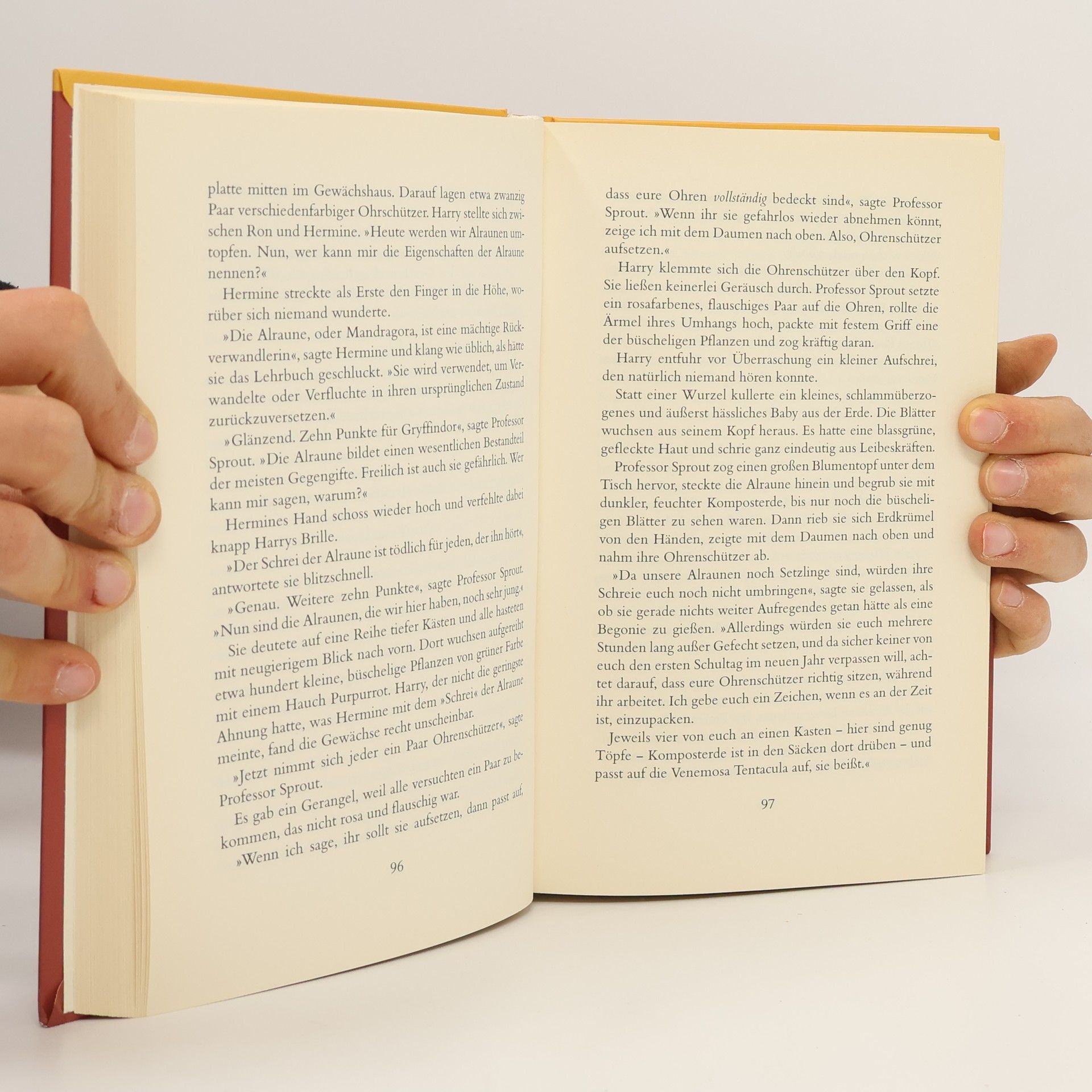 J. K. Rowling Harry Potter und die Kammer des Schreckens