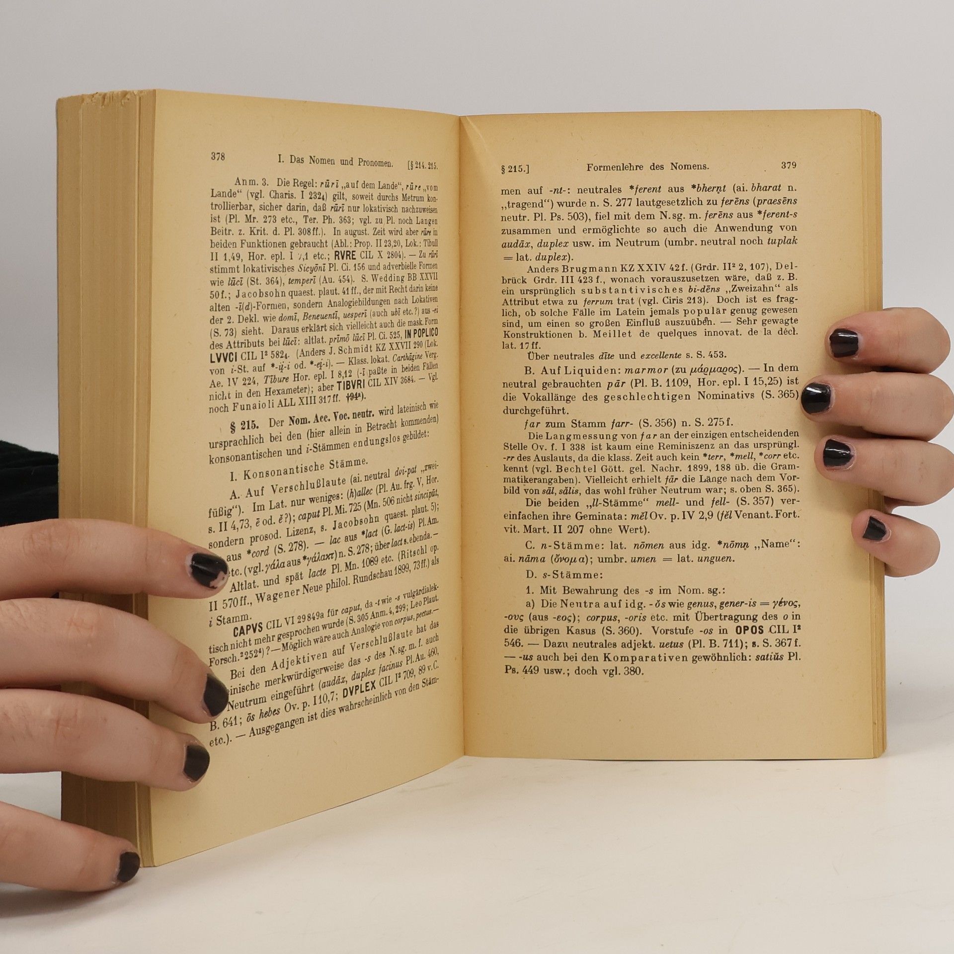 Ferdinand Sommer Handbuch der lateinischen Laut- und Formenlehre
