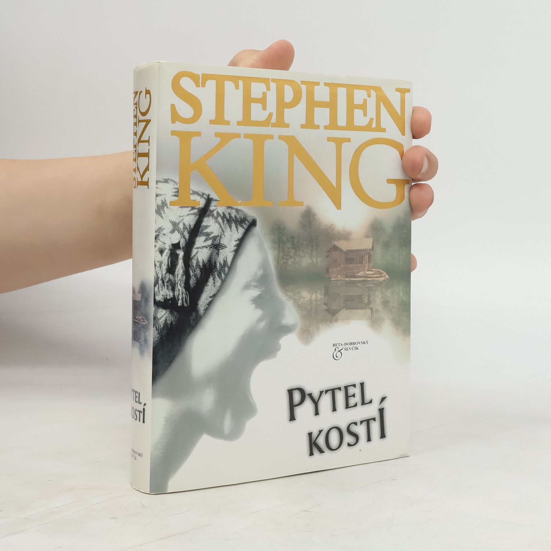 Stephen King Pytel kostí