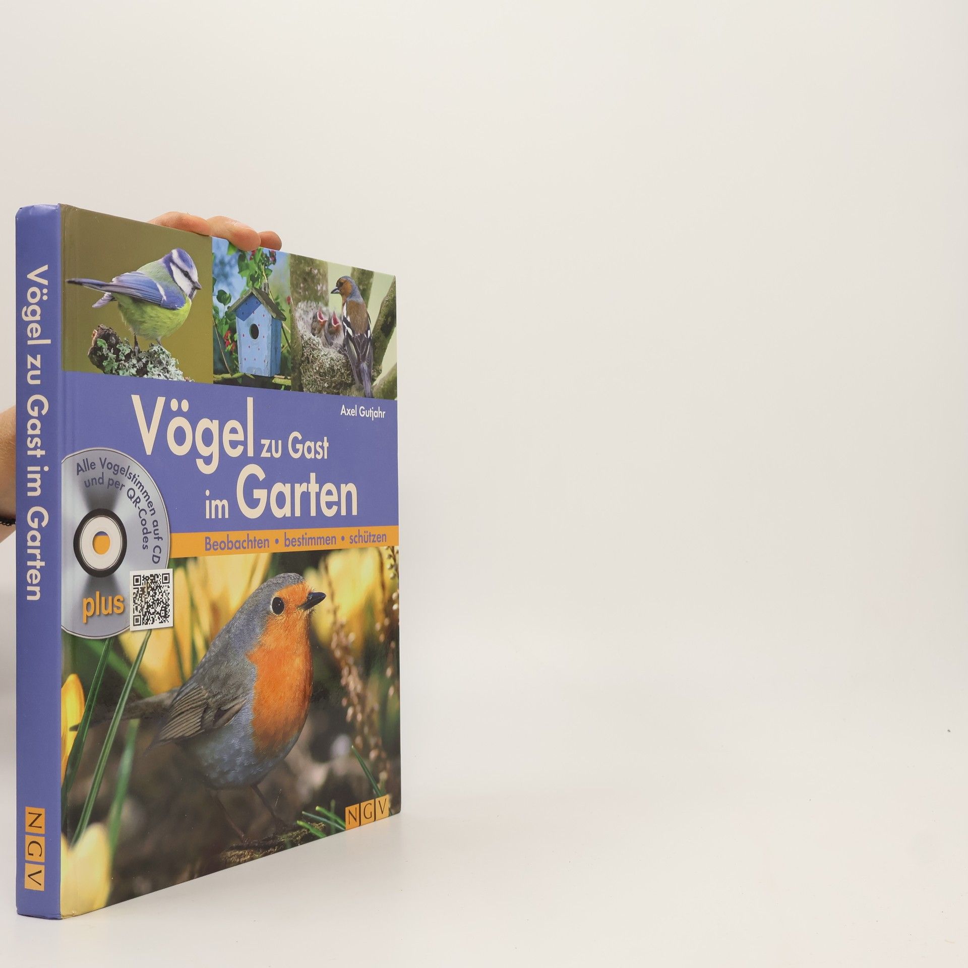 Autorenkollektiv Vögel zu Gast im Garten
