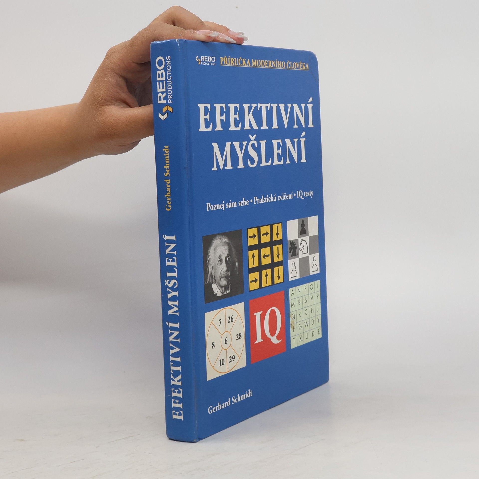 Hans-Gerhard Schmidt Efektivní myšlení