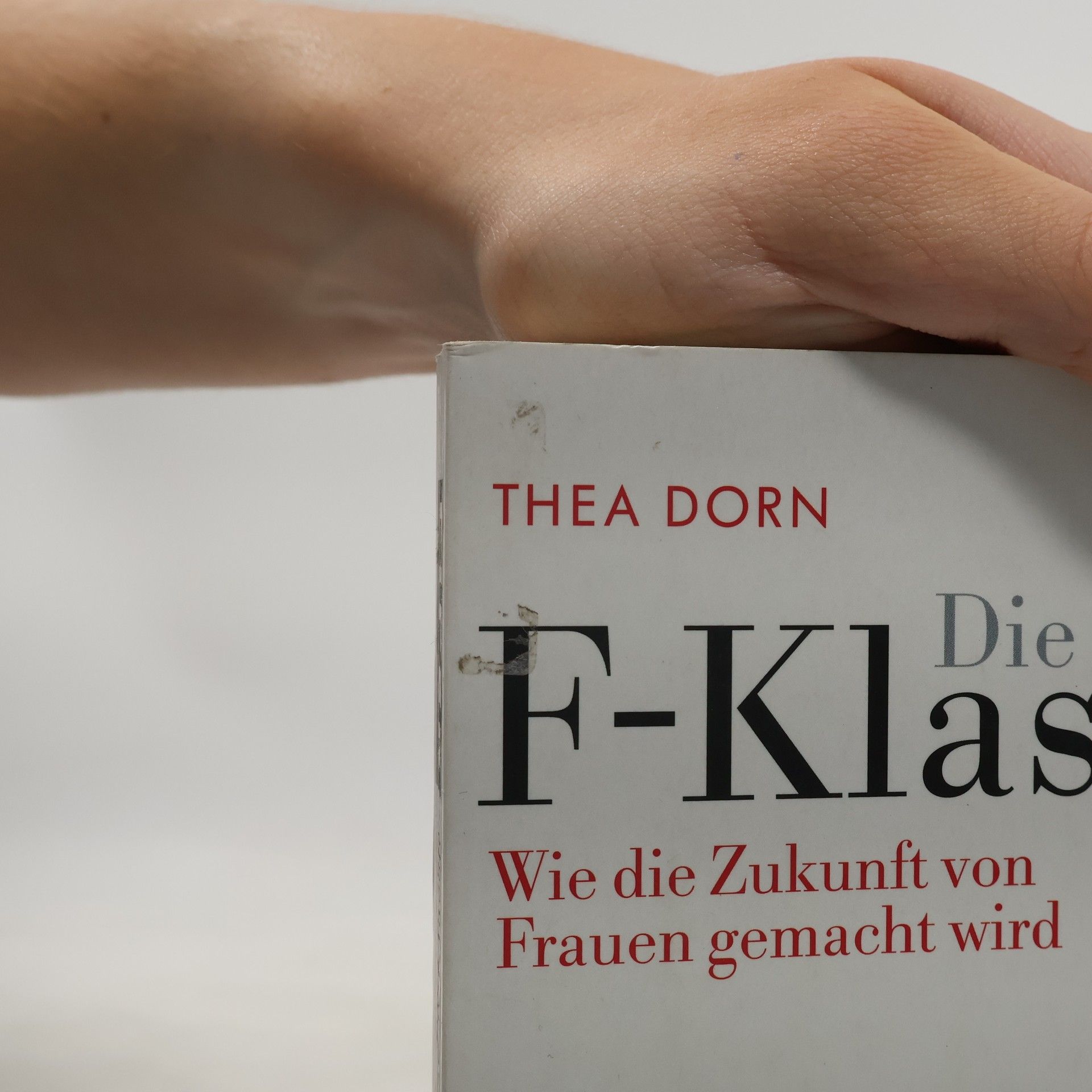 Thea Dorn Die neue F-Klasse