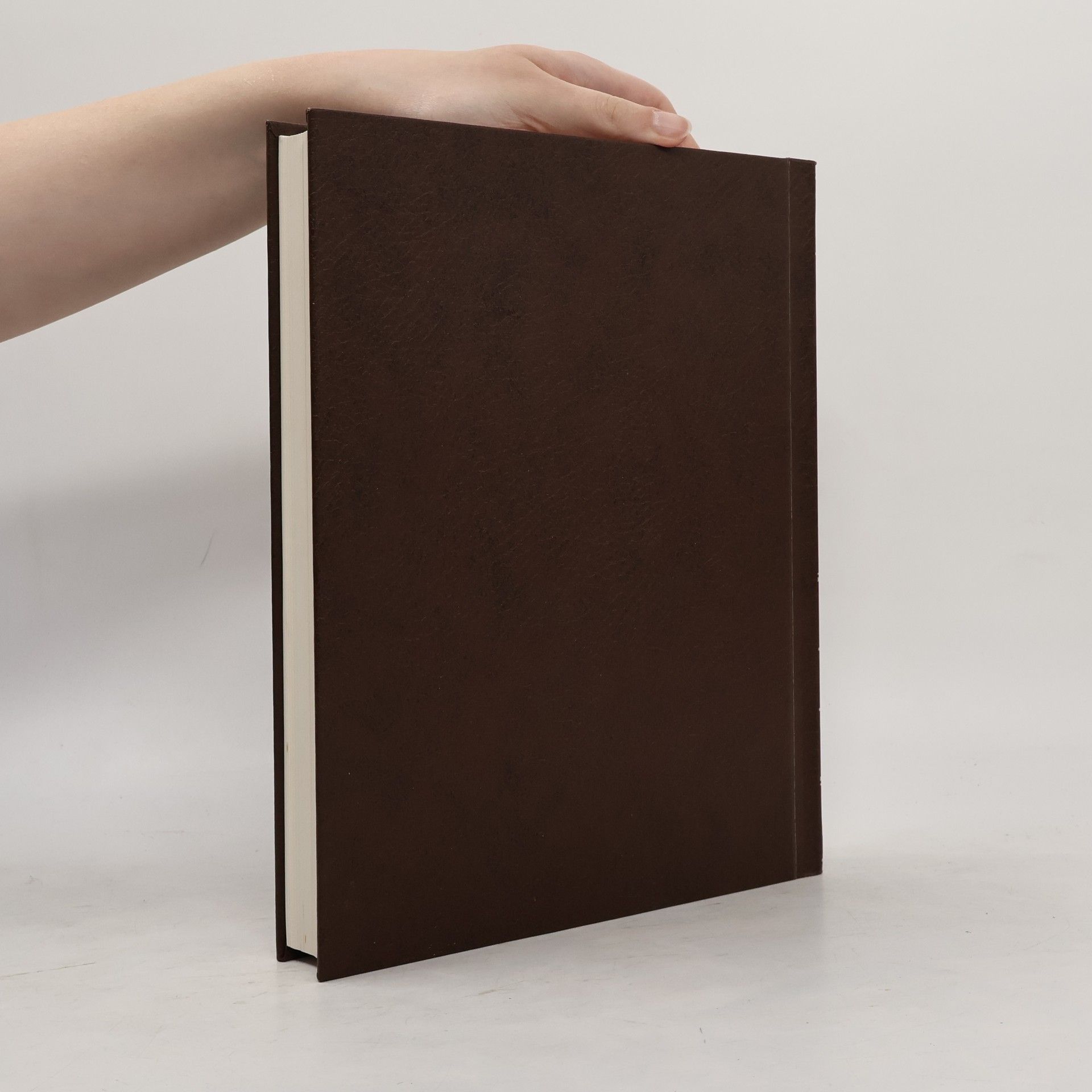 Autorenkollektiv The New Encyclopædia Britannica 20
