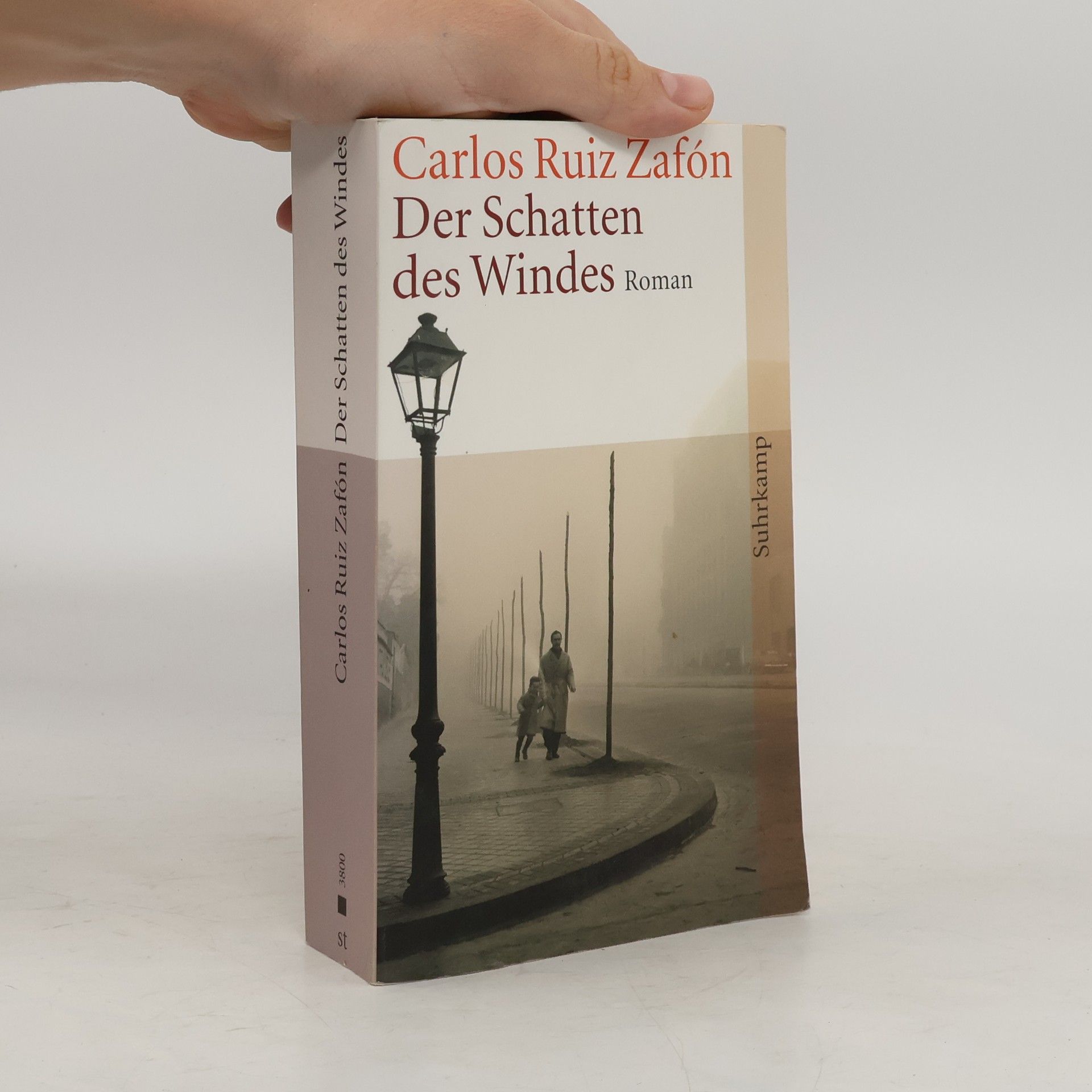 Der Schatten des Windes
