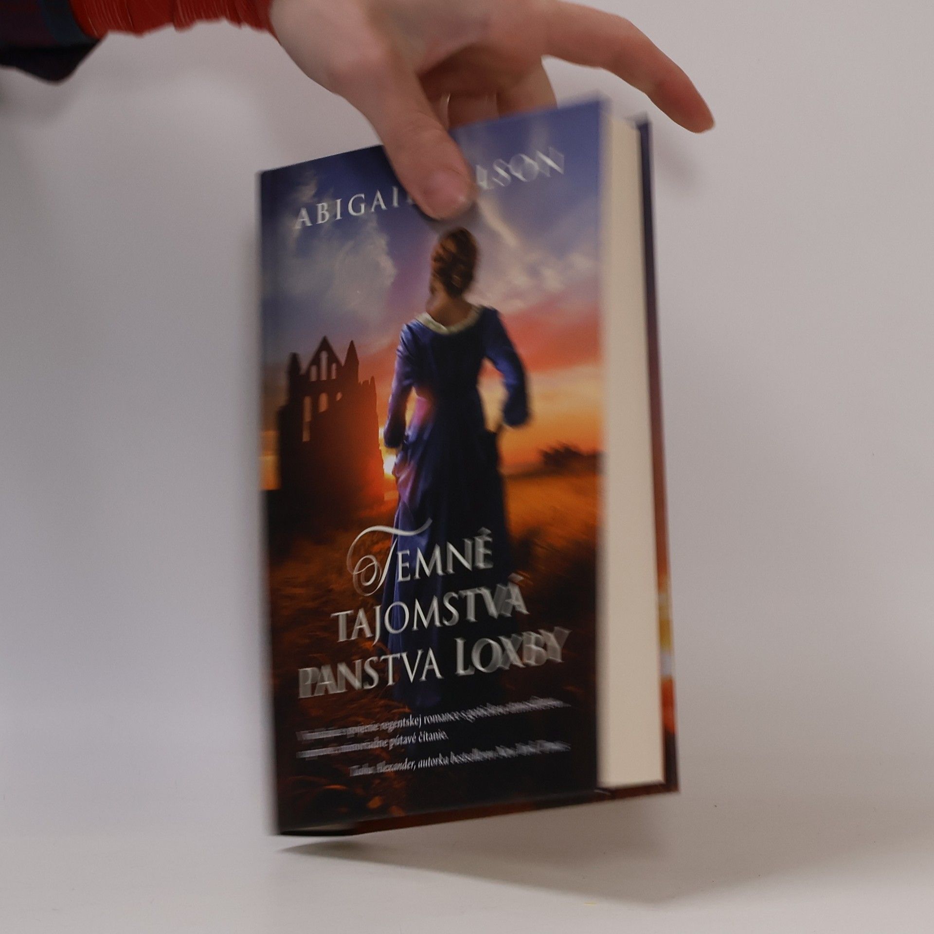 Abigail Wilson Temné tajomstvá panstva Loxby