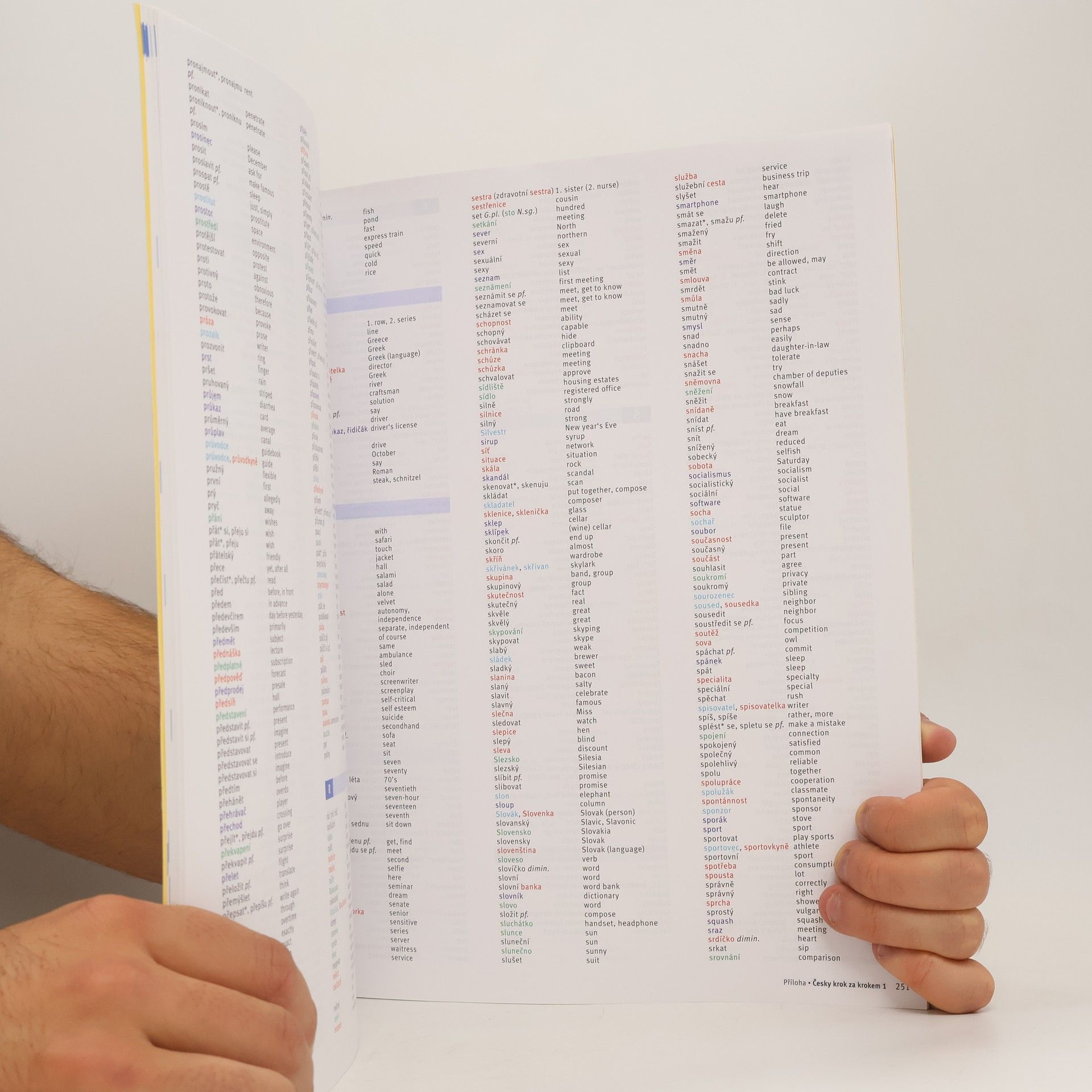 Lída Holá Česky krok za krokem 1. A1-A2 příloha