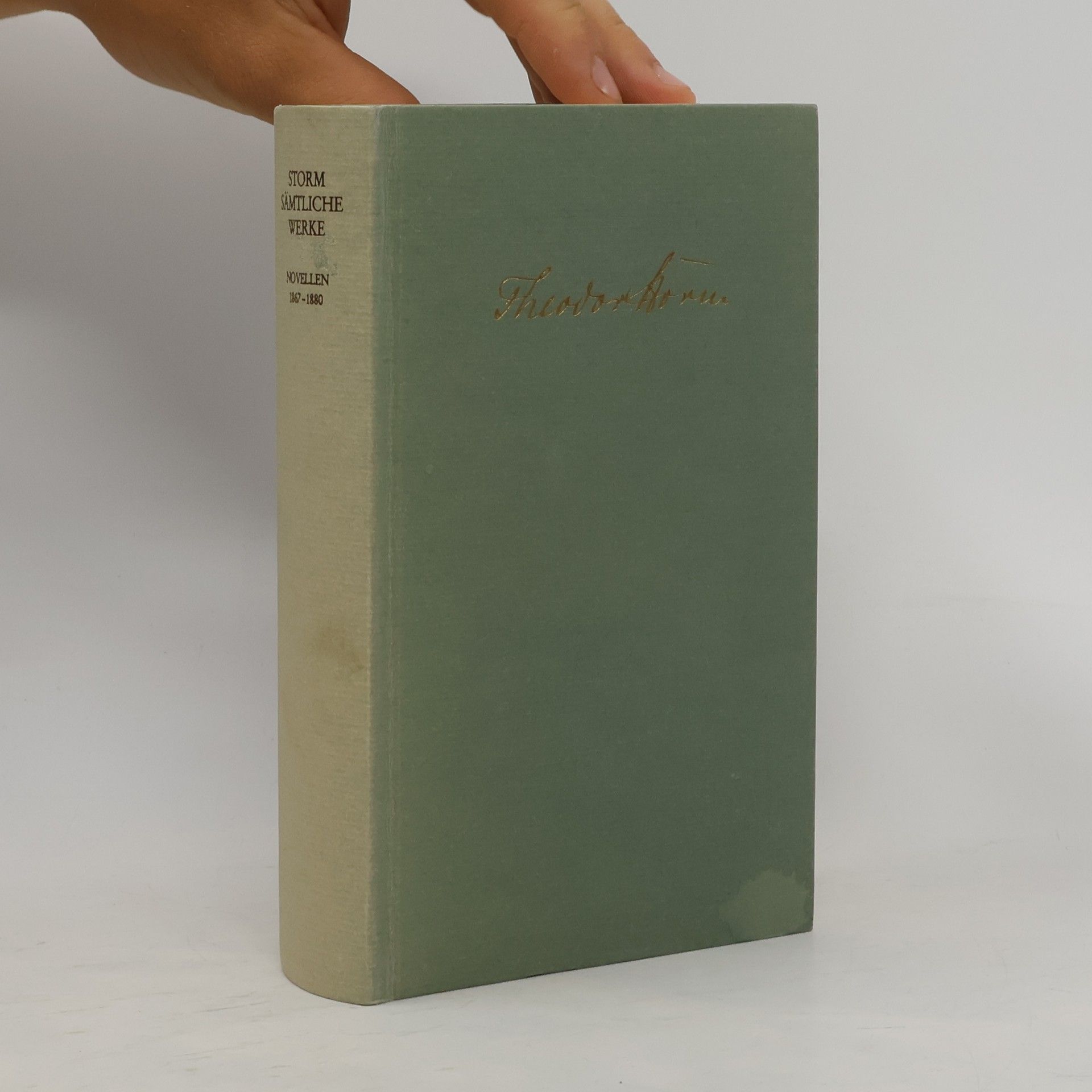 Theodor Storm Novellen, 1867-1880