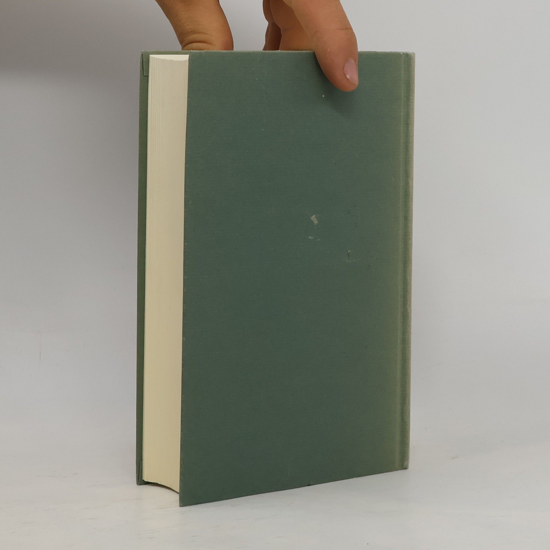 Theodor Storm Novellen, 1867-1880