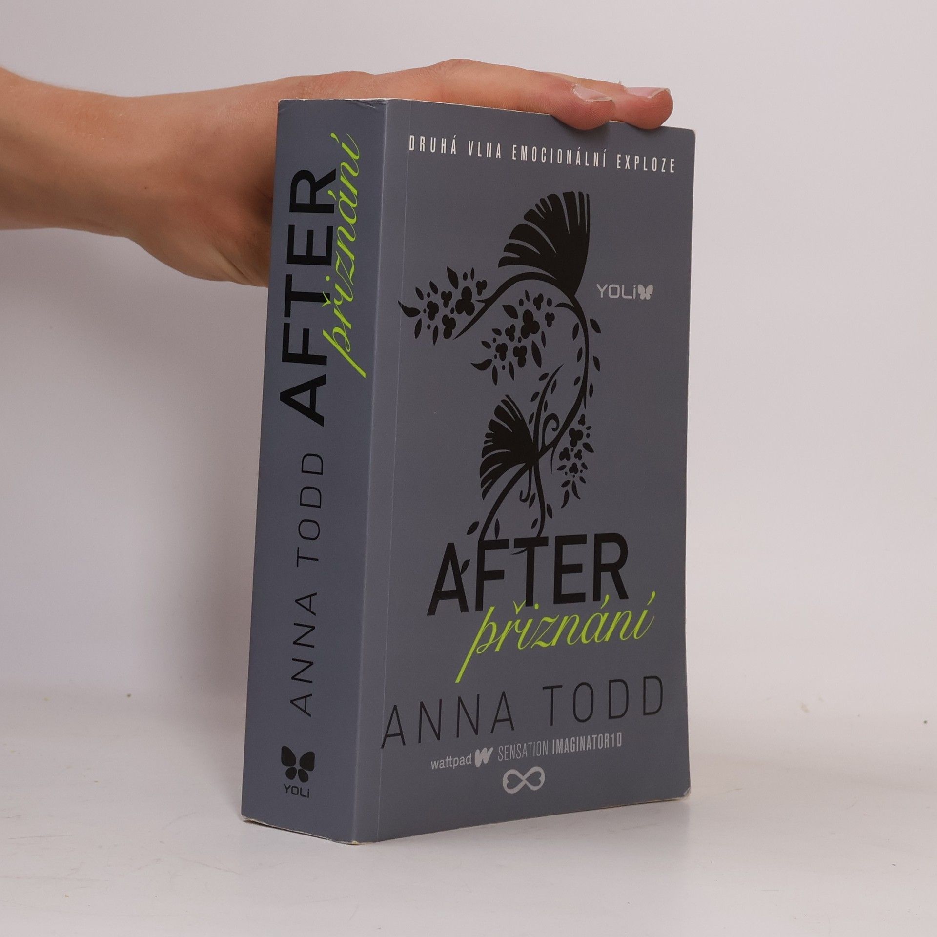 Anna Todd After. Přiznání