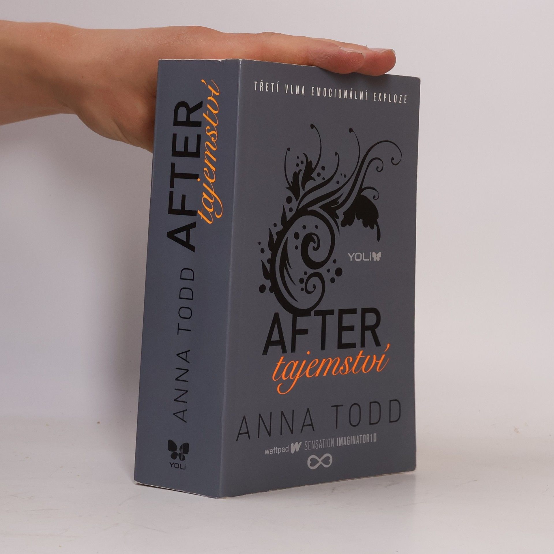 Anna Todd After. Tajemství