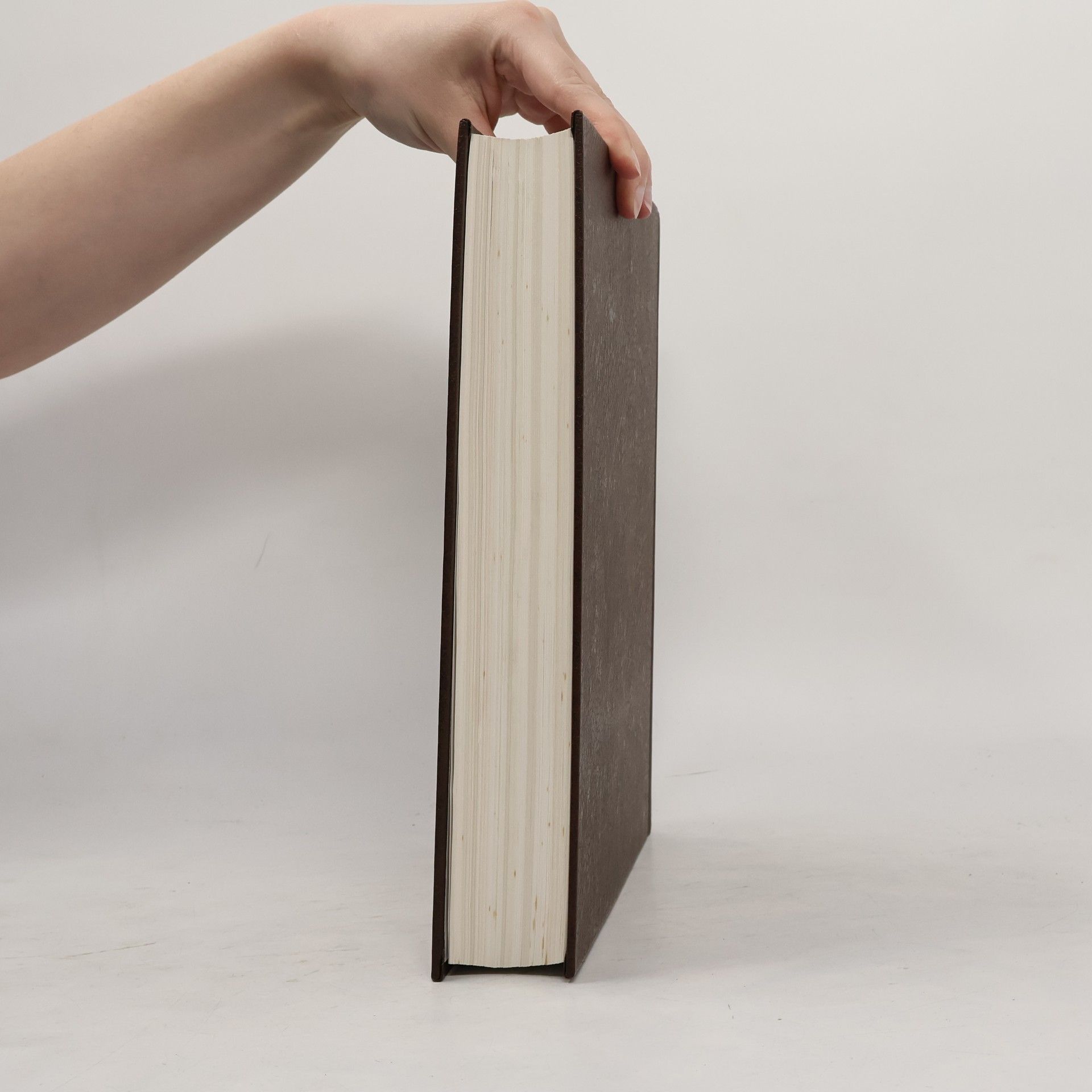 Autorenkollektiv The New Encyclopædia Britannica 25