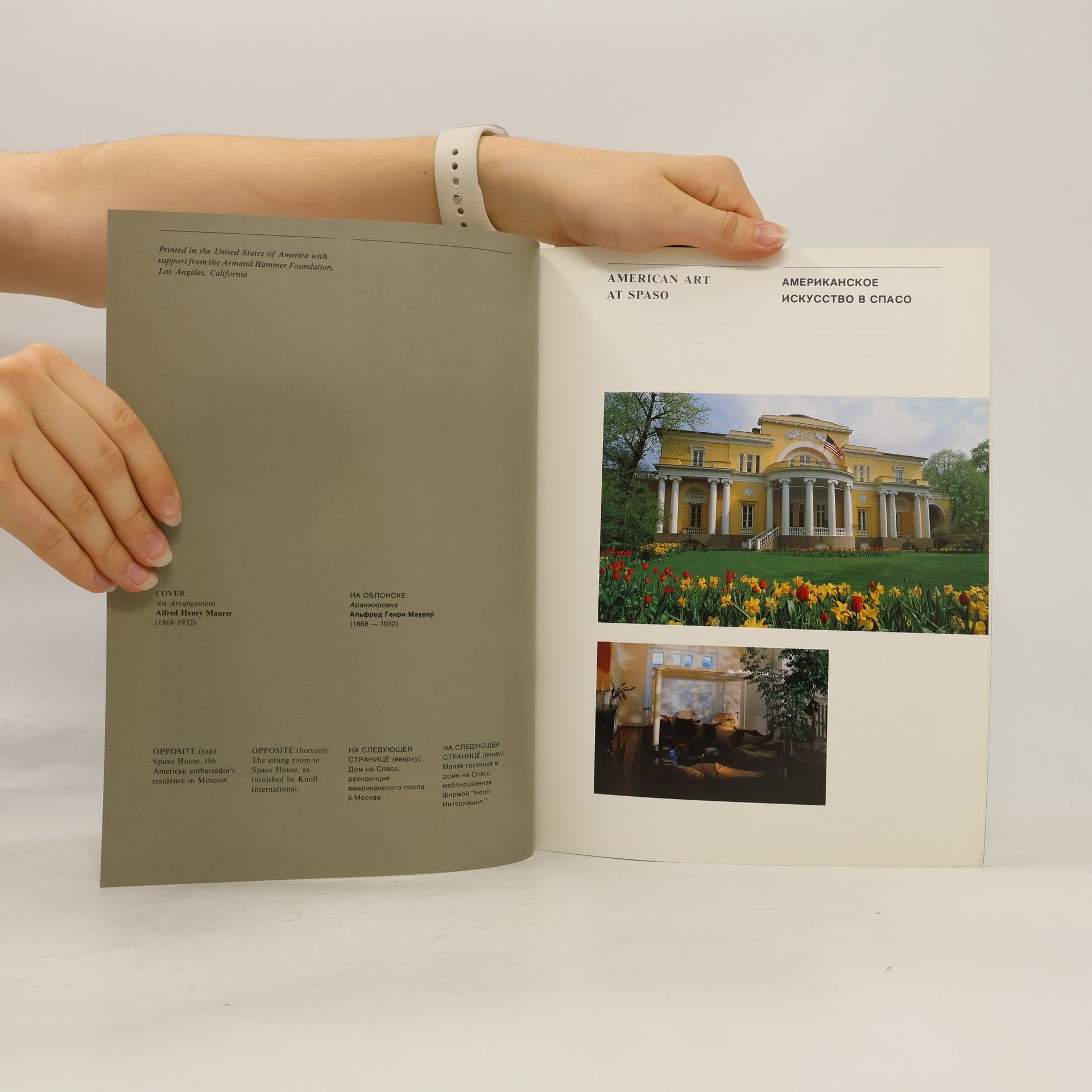 Autorenkollektiv American art at Spaso