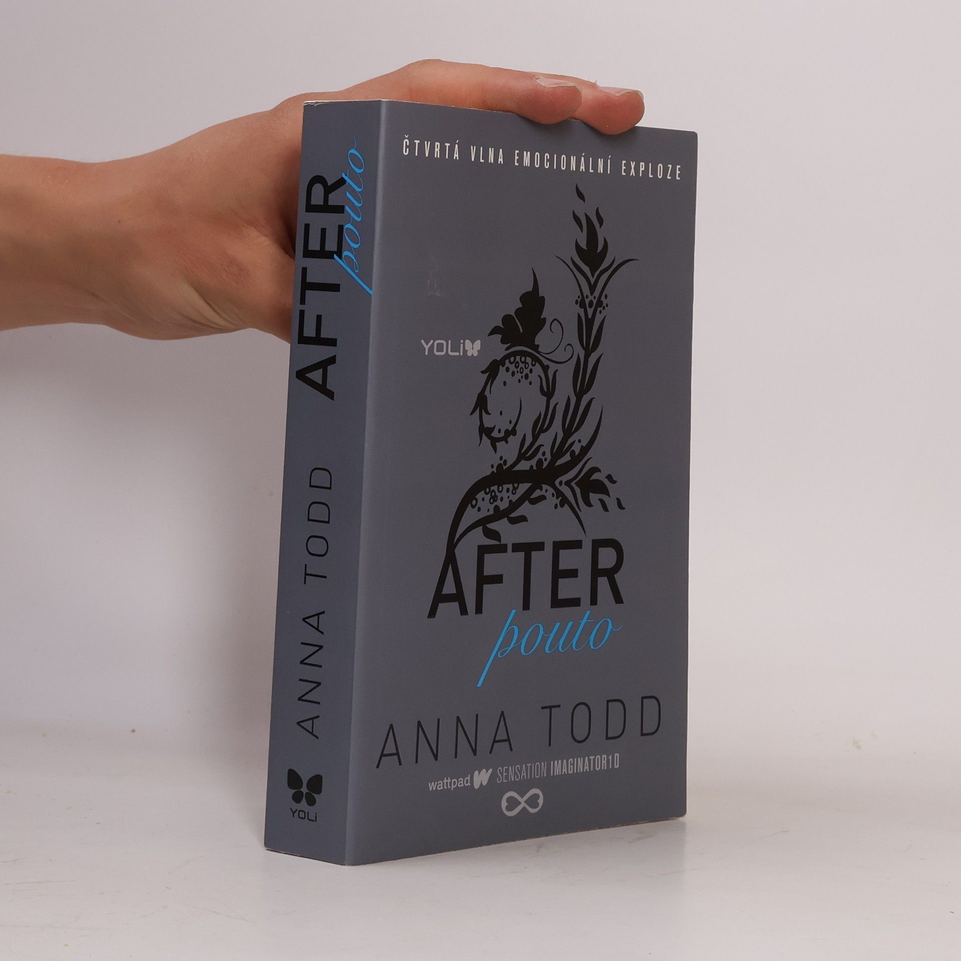Anna Todd After. Pouto
