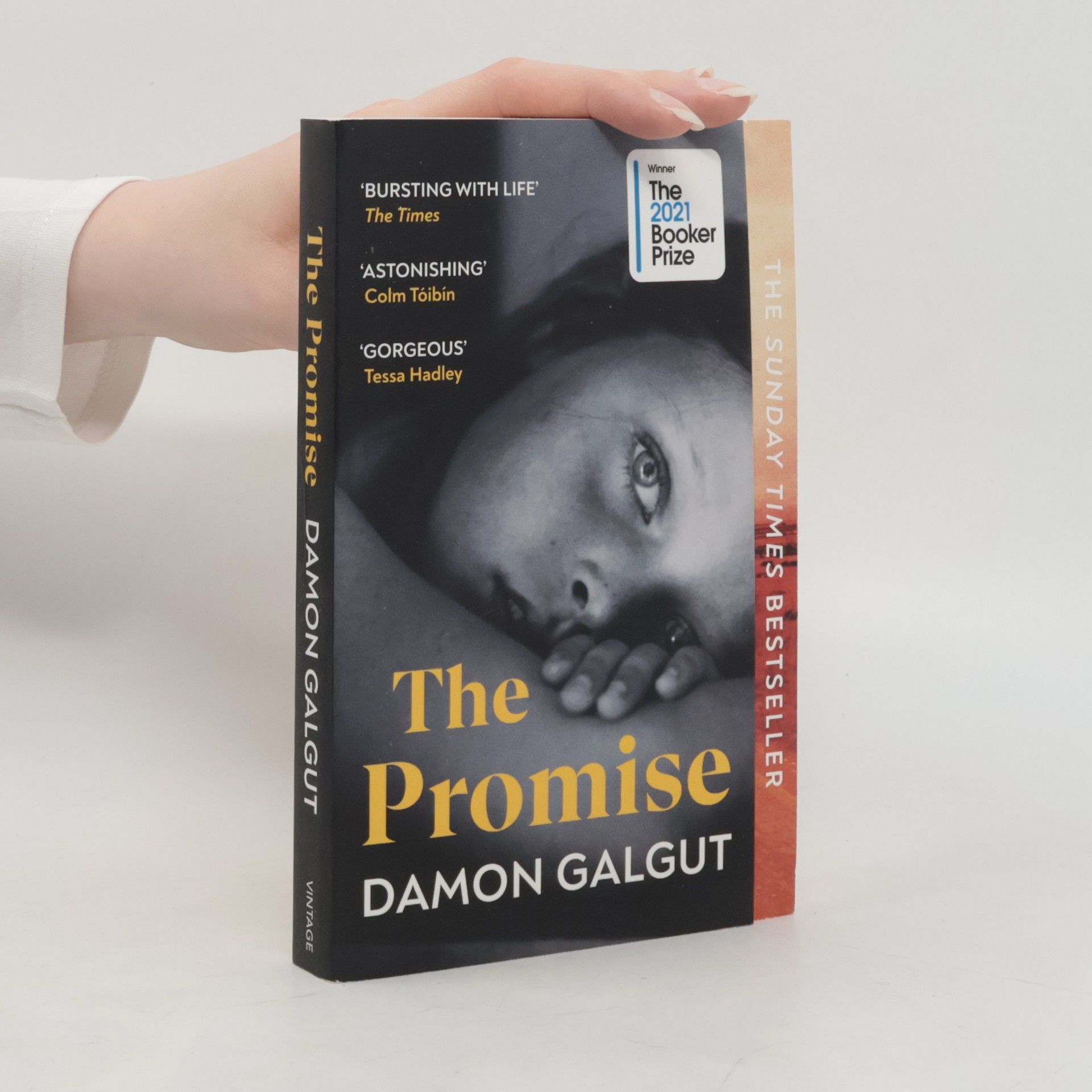 Damon Galgut The Promise