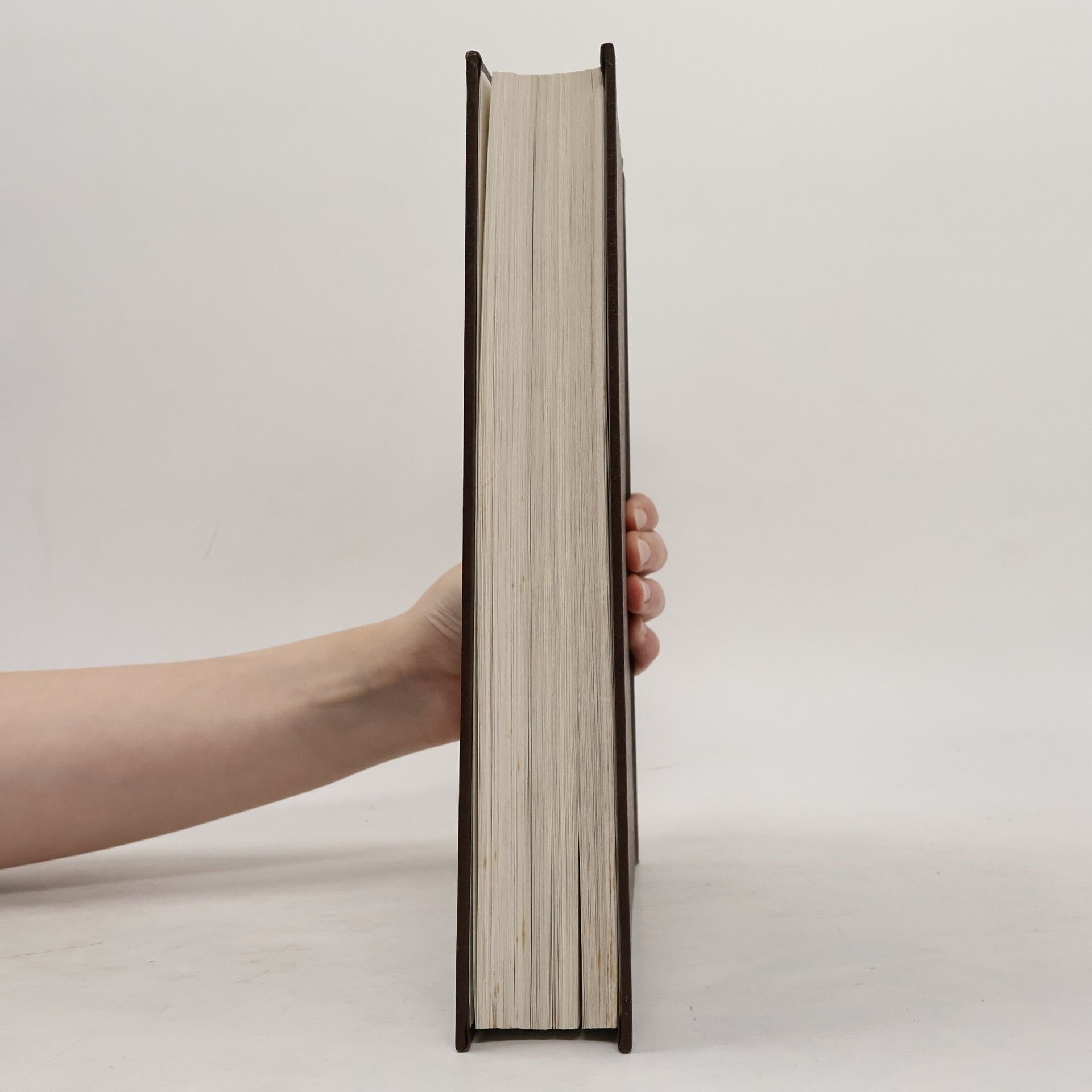 Autorenkollektiv The New Encyclopædia Britannica 19