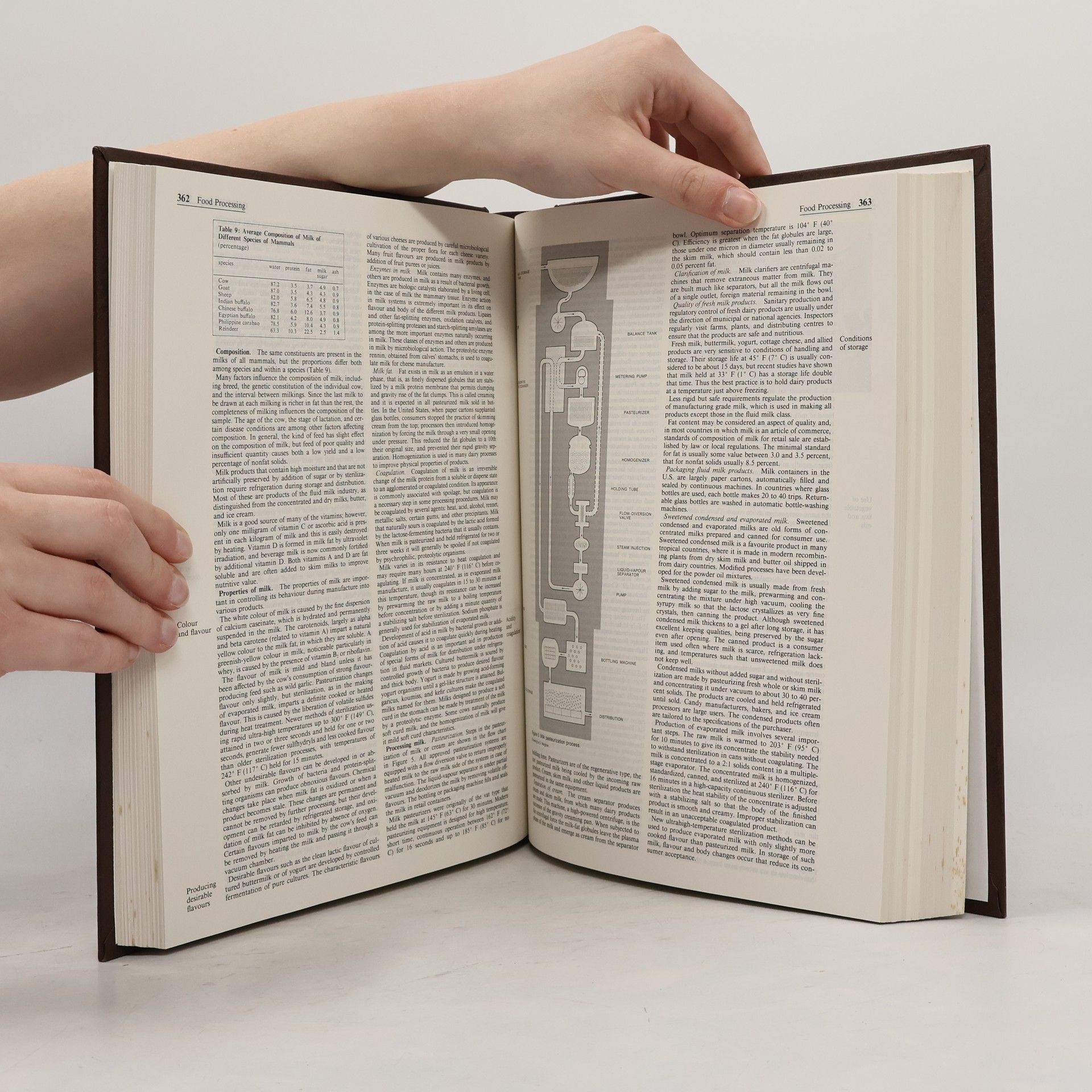 Autorenkollektiv The New Encyclopædia Britannica 19