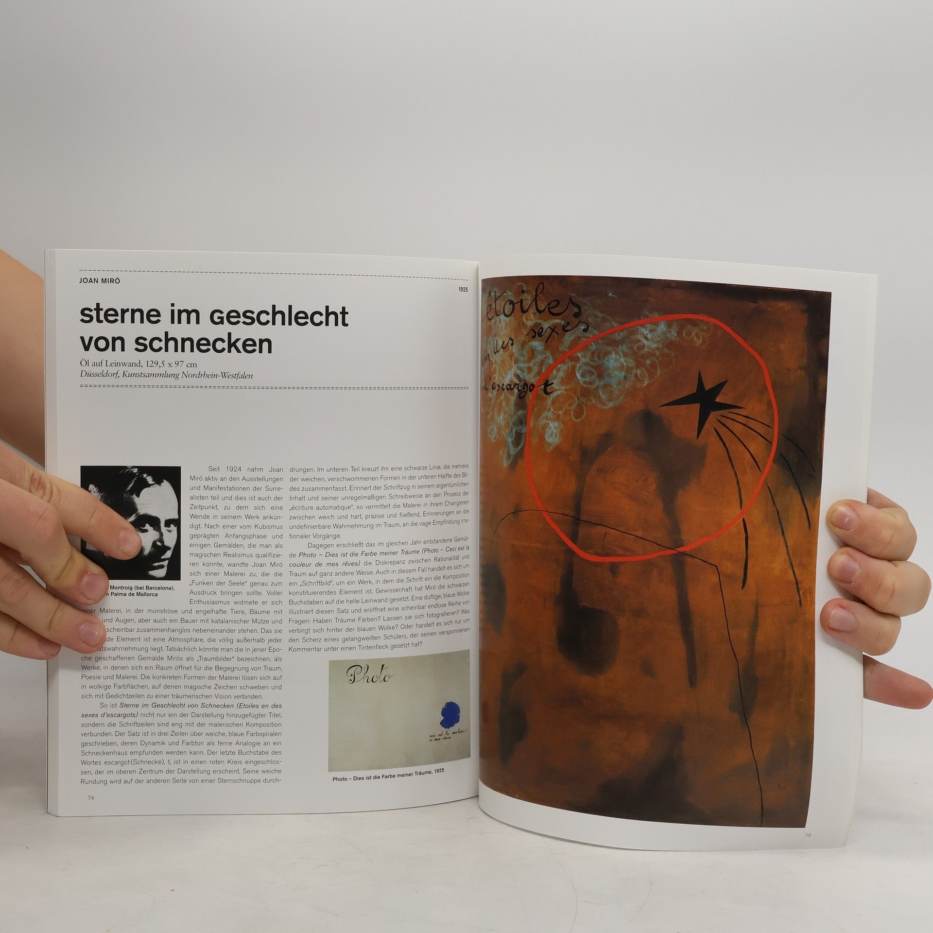 Cathrin Klingsöhr-Leroy Surrealismus