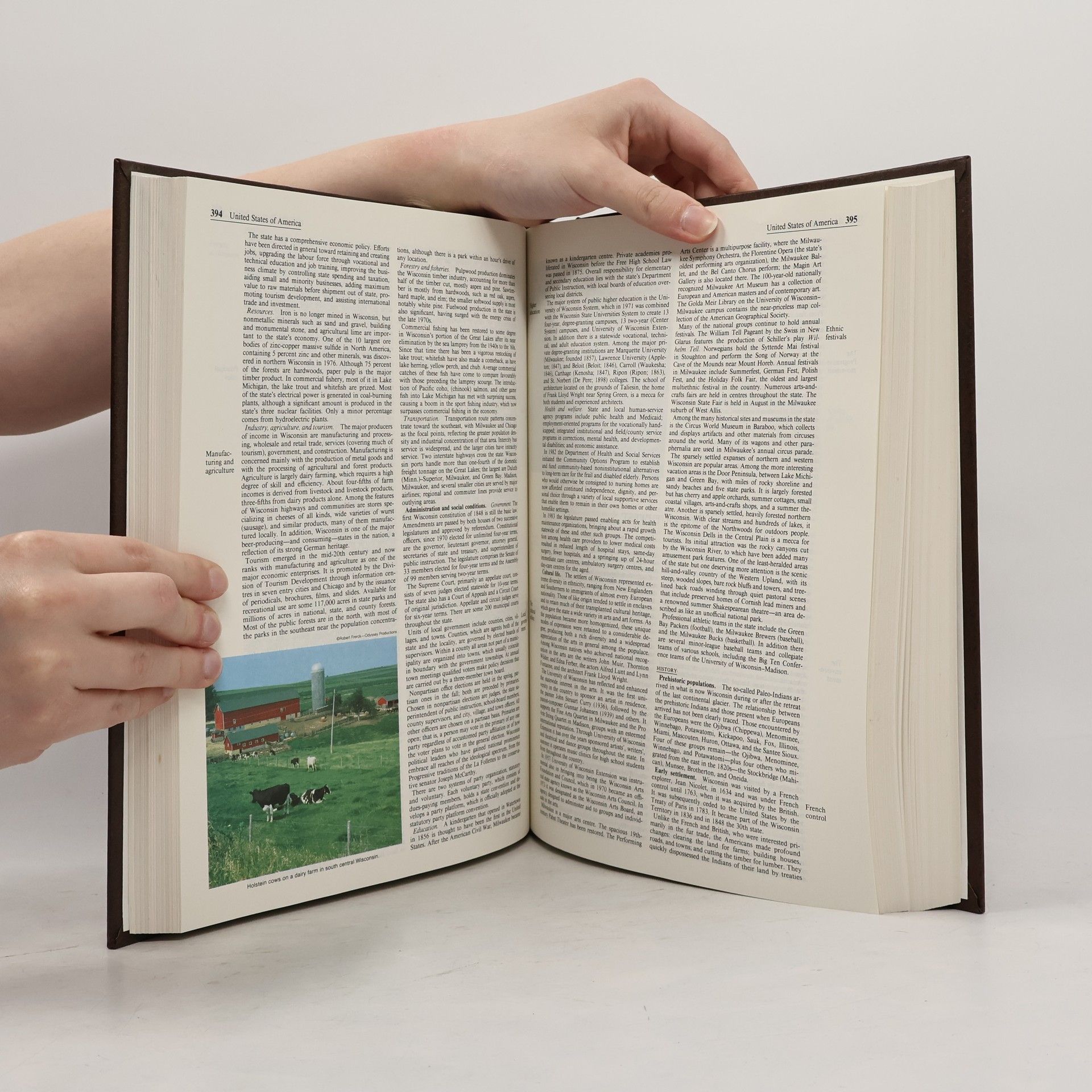 Kolektív autorov The New Encyclopædia Britannica 29