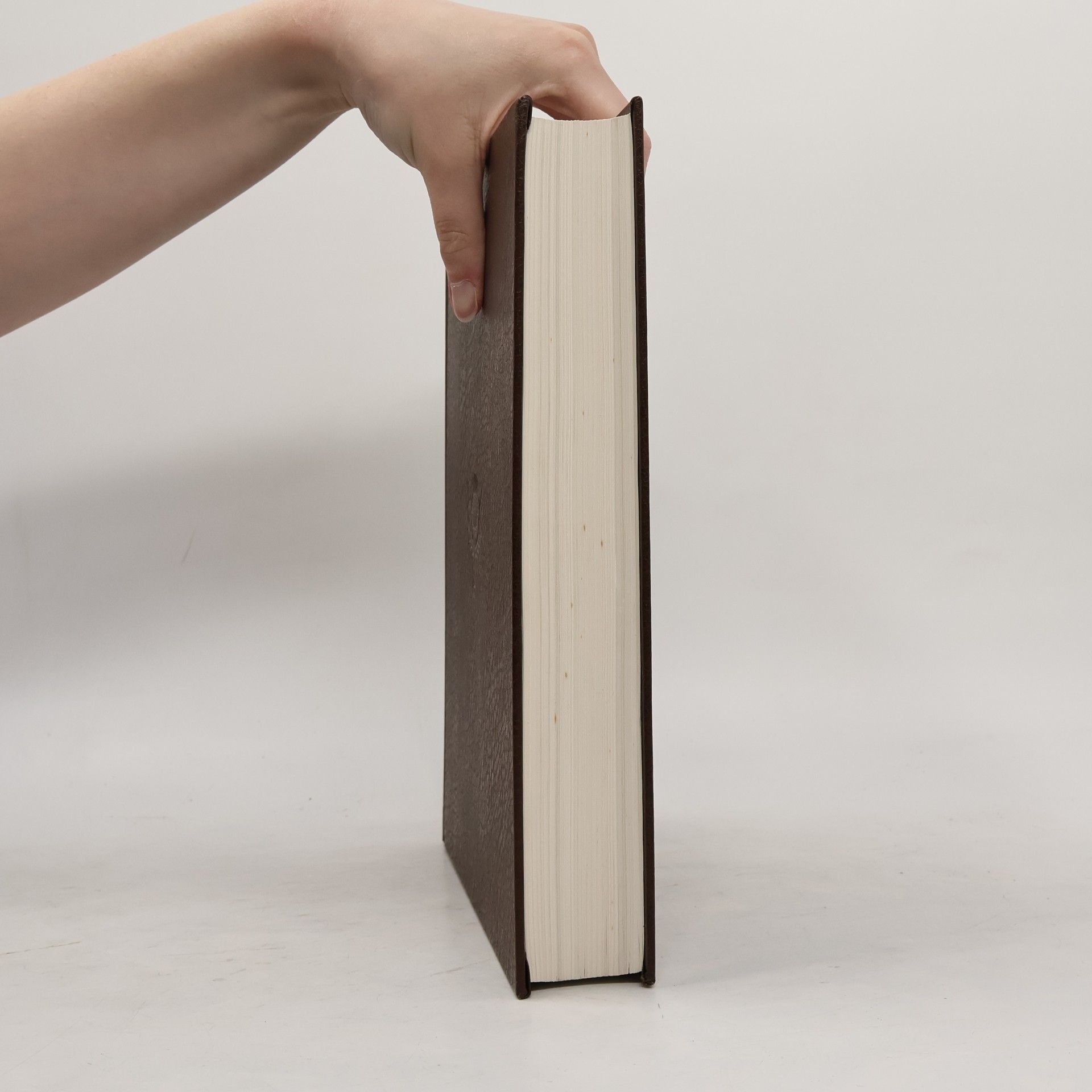 Kolektív autorov The New Encyclopædia Britannica 28