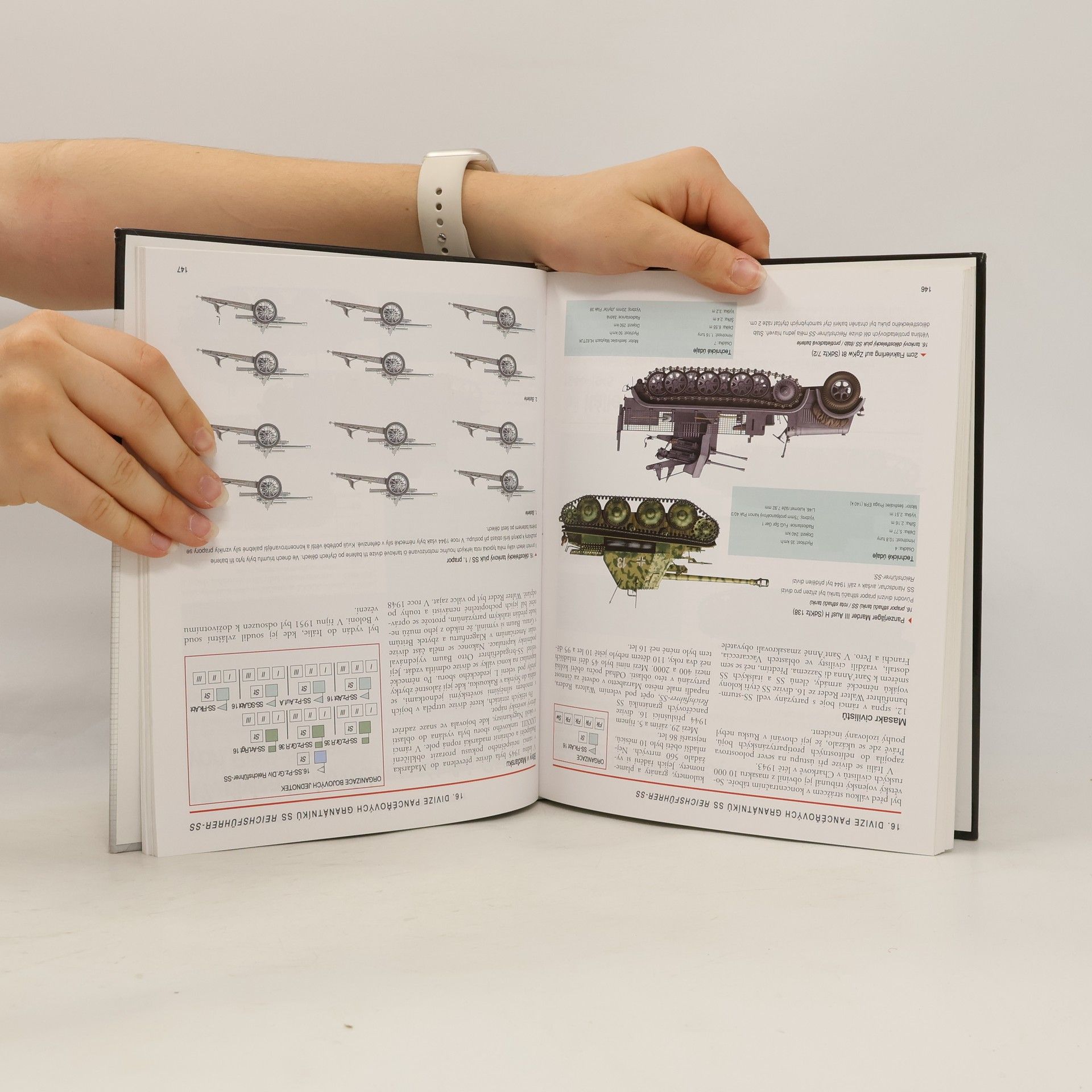 Chris Bishop Divize Waffen-SS 1939-45 : identifikační příručka vojenské techniky